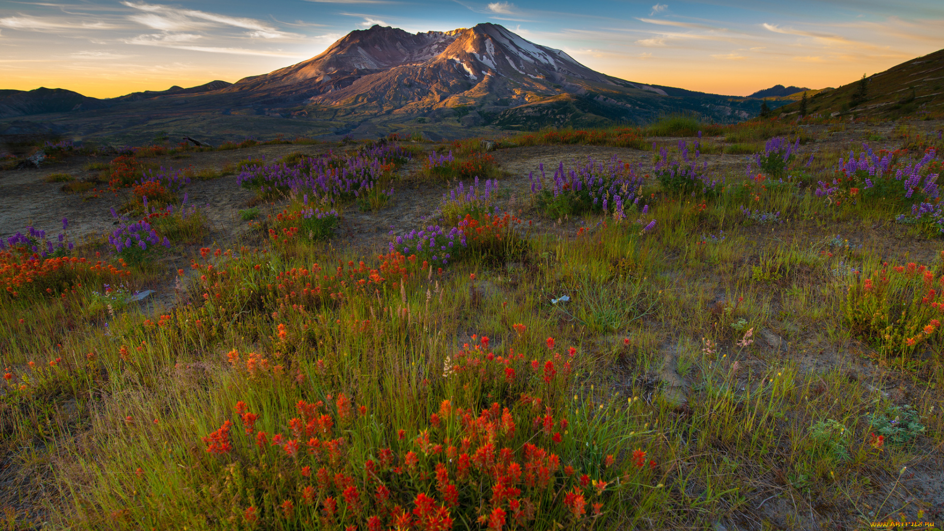 природа, луга, простор