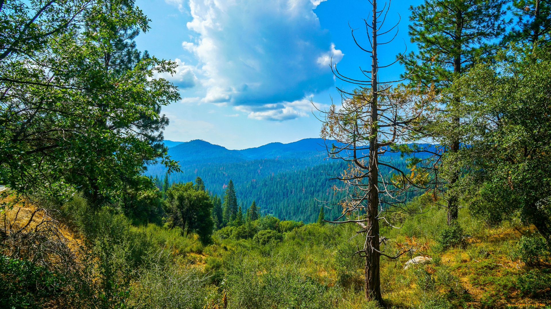 природа, пейзажи, простор