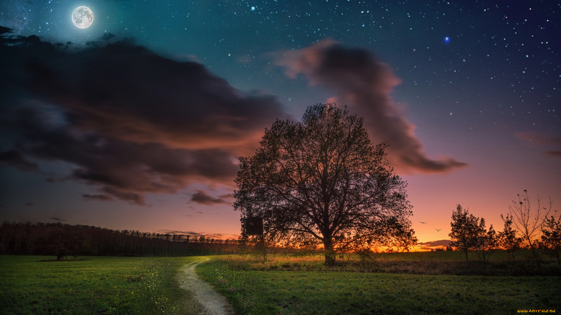 природа, пейзажи, простор