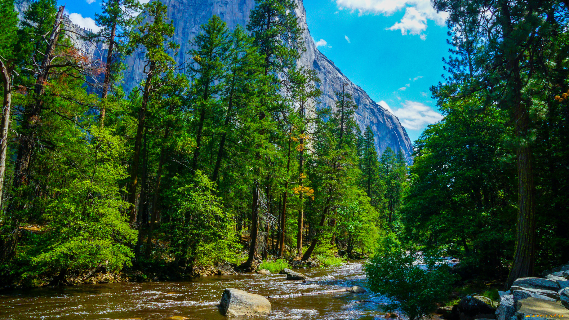 природа, реки, озера, простор