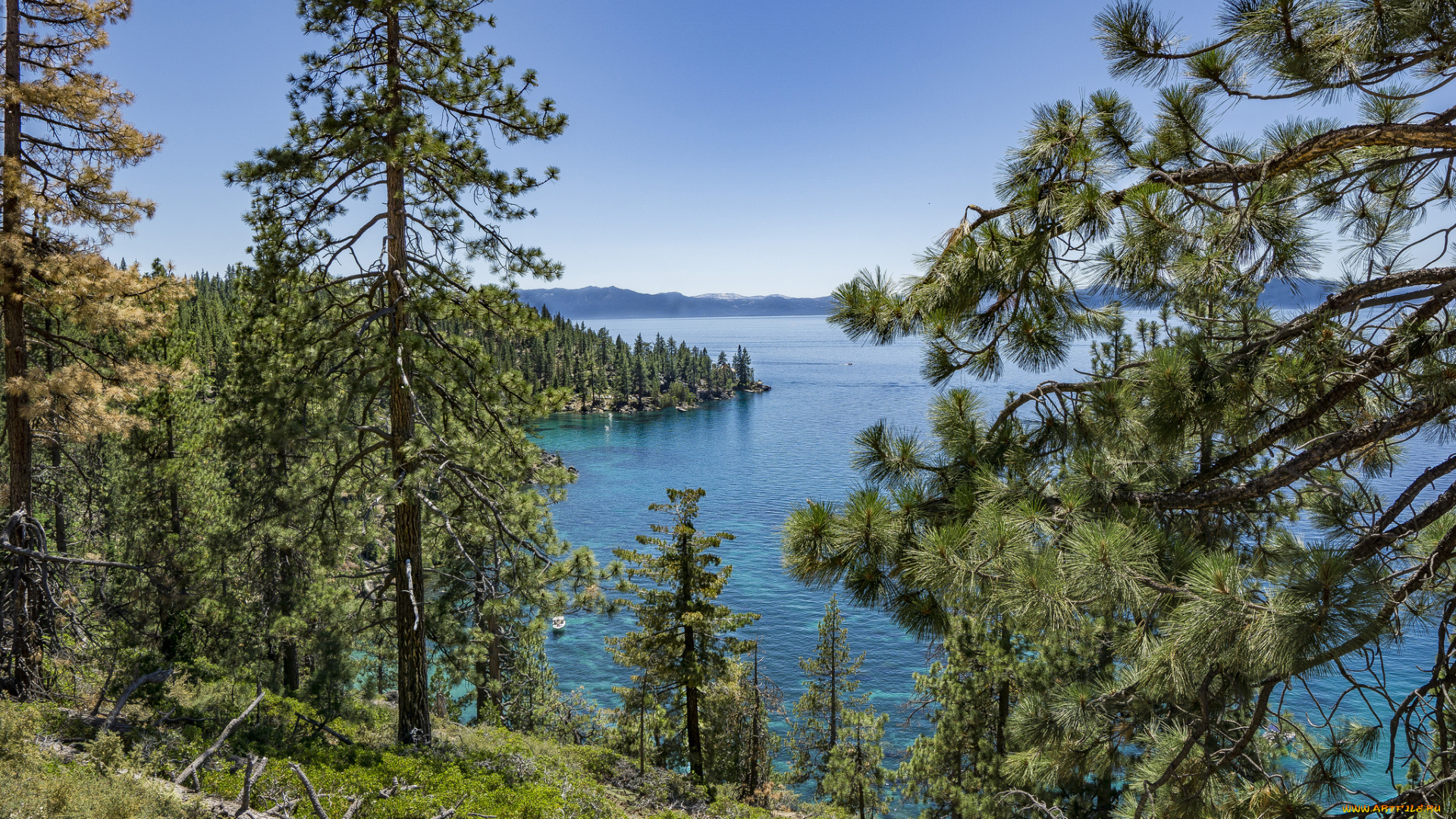 природа, реки, озера, простор