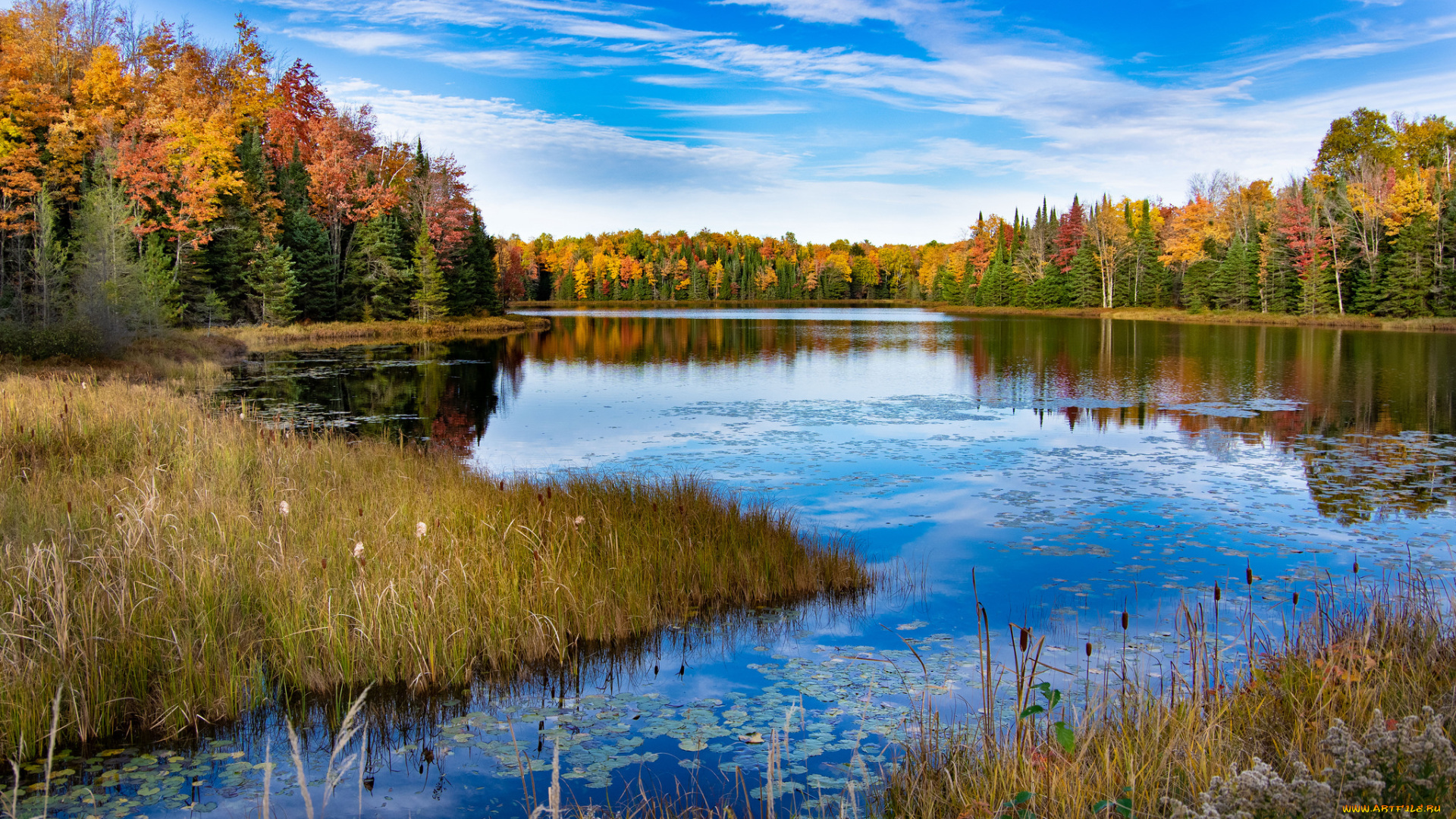 природа, реки, озера, простор