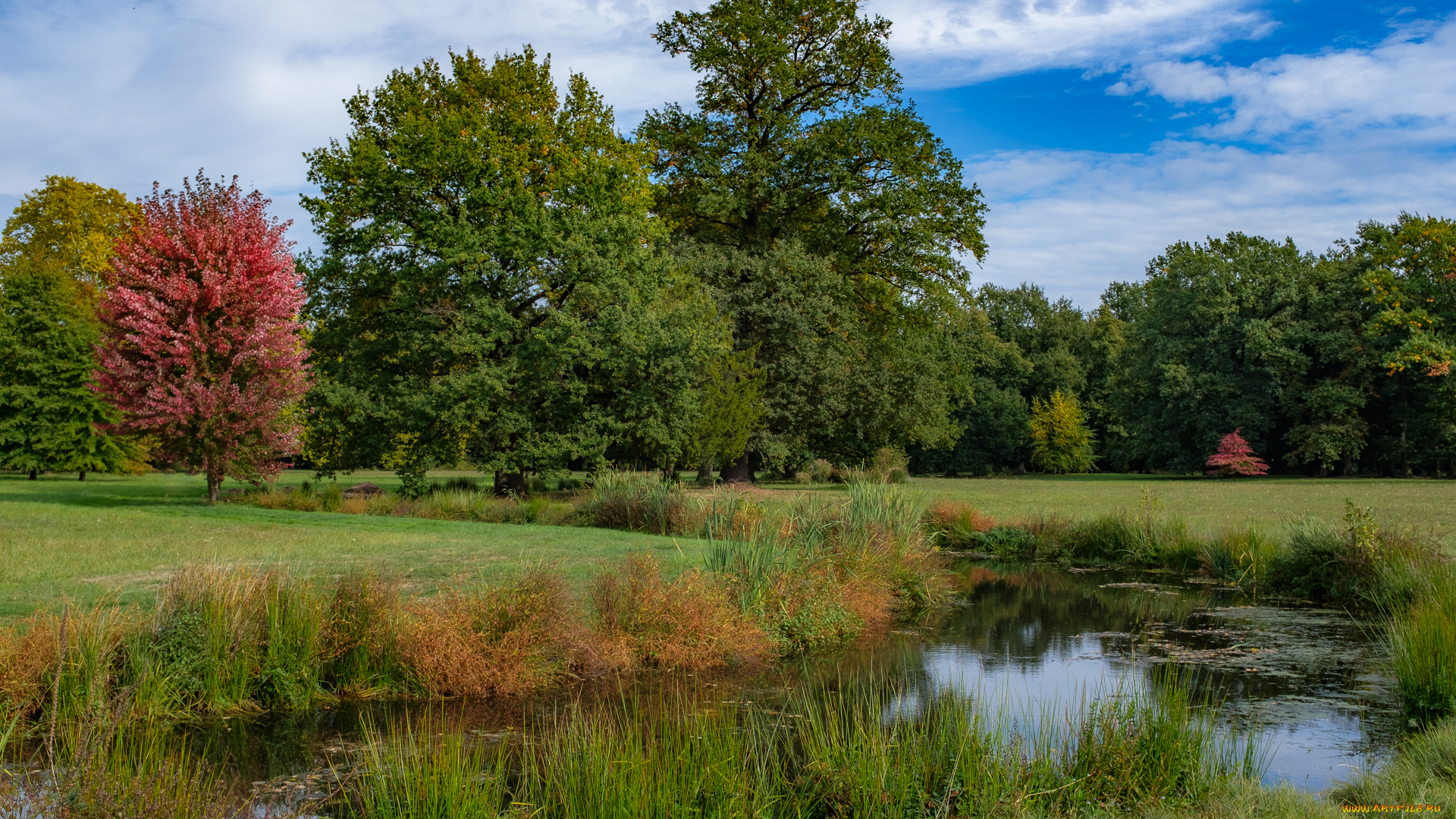 природа, реки, озера, простор