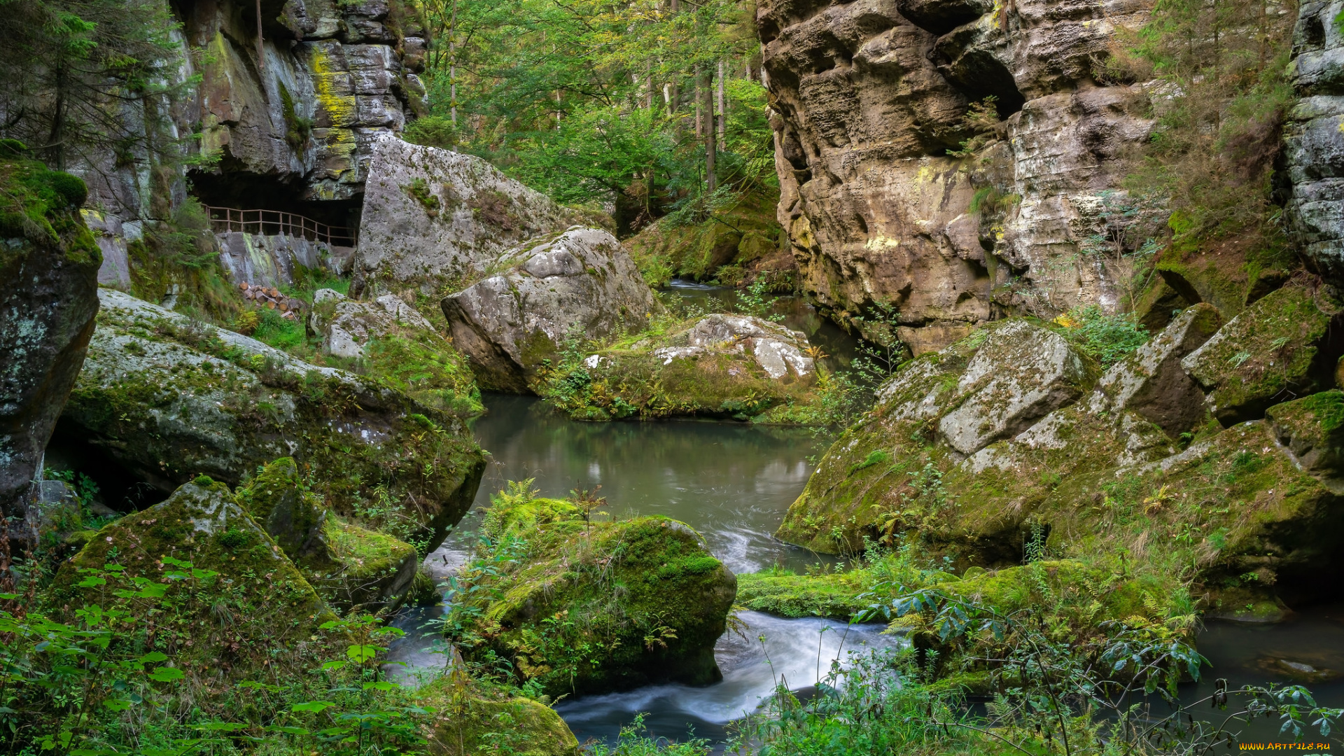 природа, реки, озера, простор