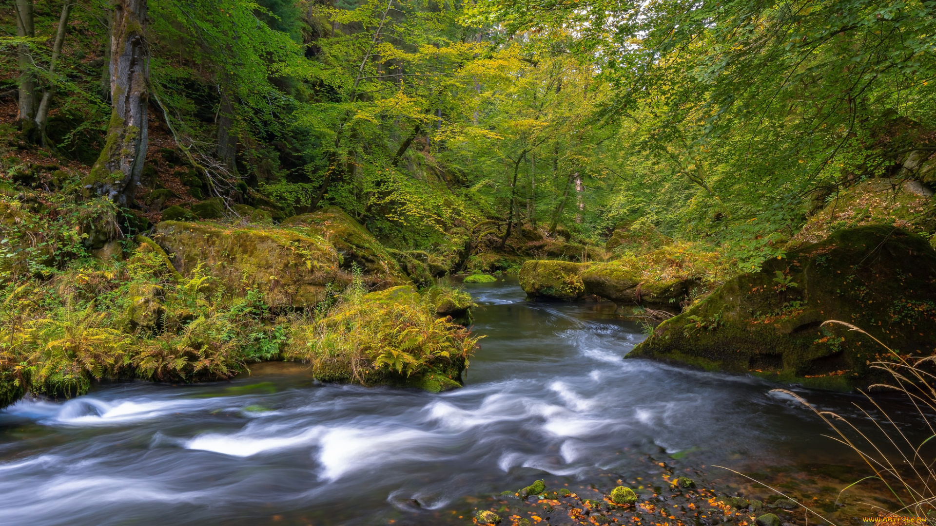 природа, реки, озера, простор