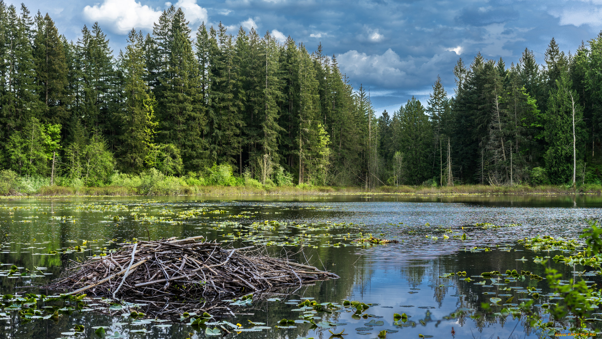 природа, реки, озера, простор