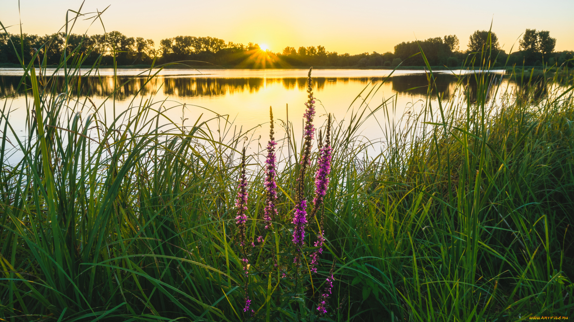 природа, реки, озера, простор