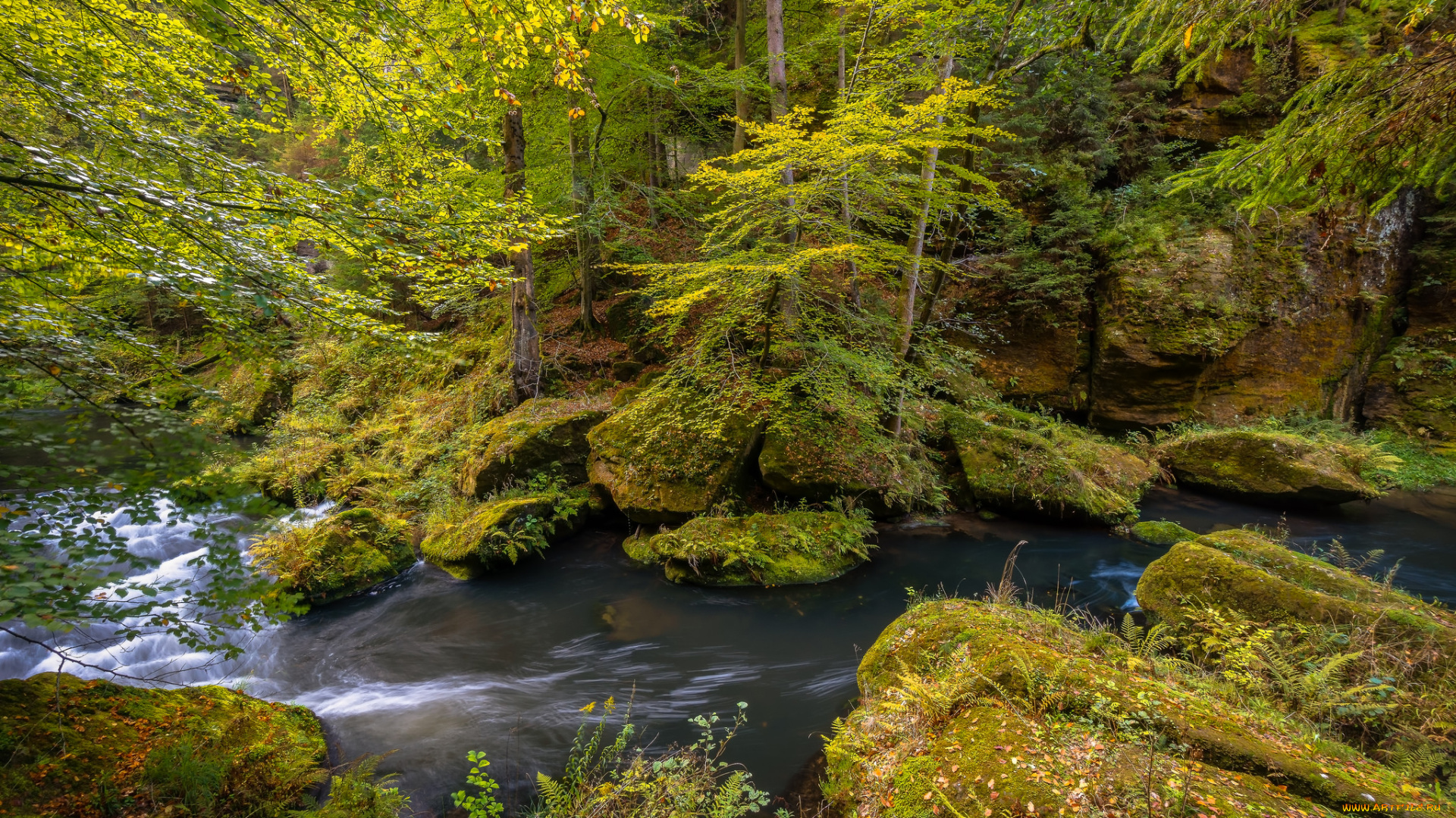 природа, реки, озера, простор