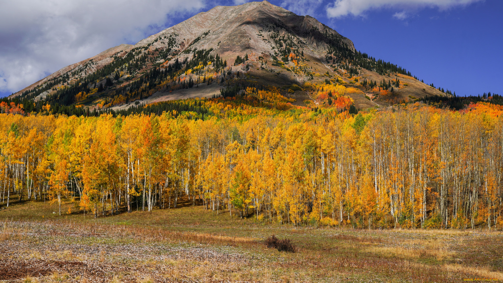 природа, реки, озера, простор