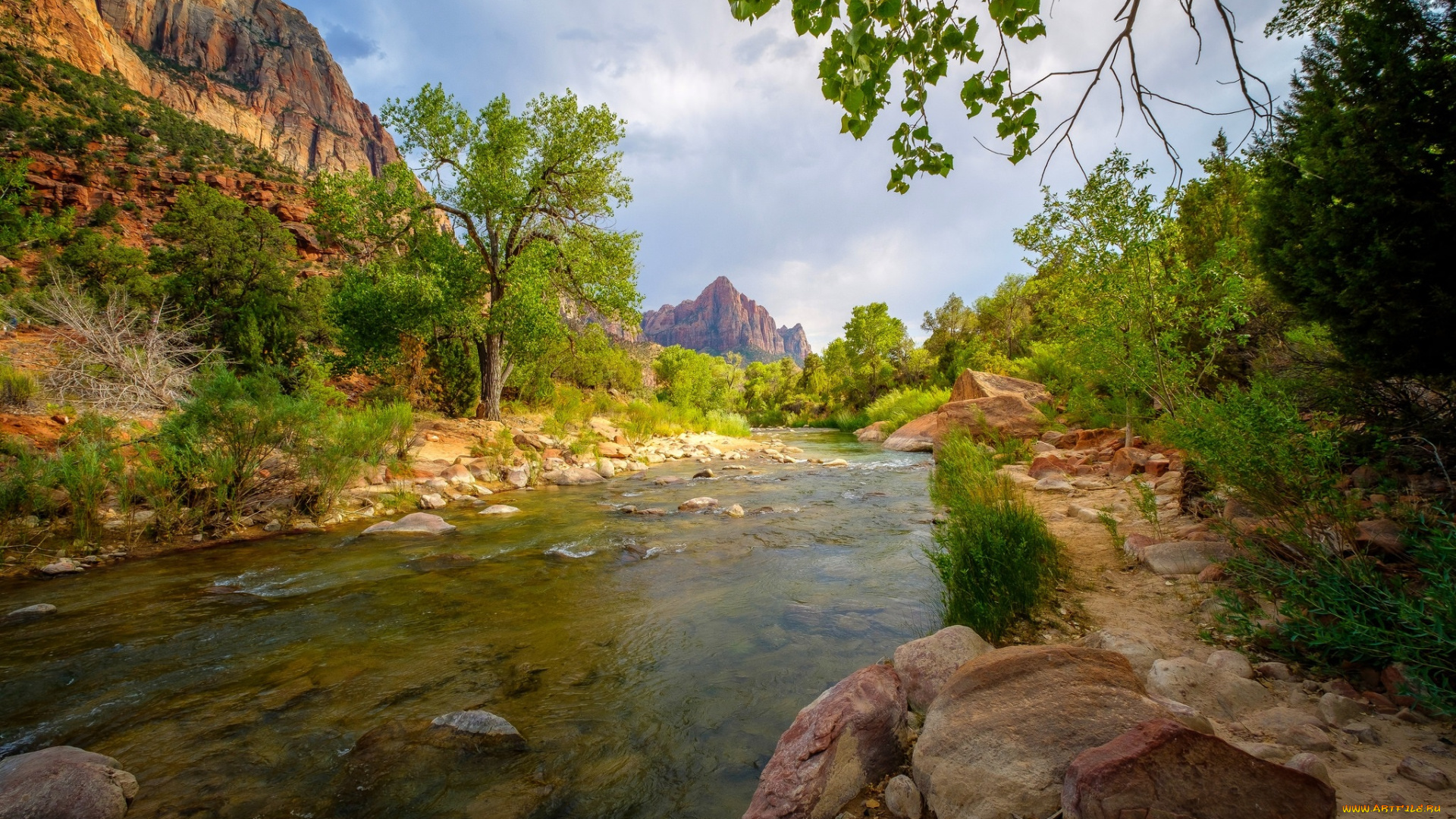 природа, реки, озера, простор