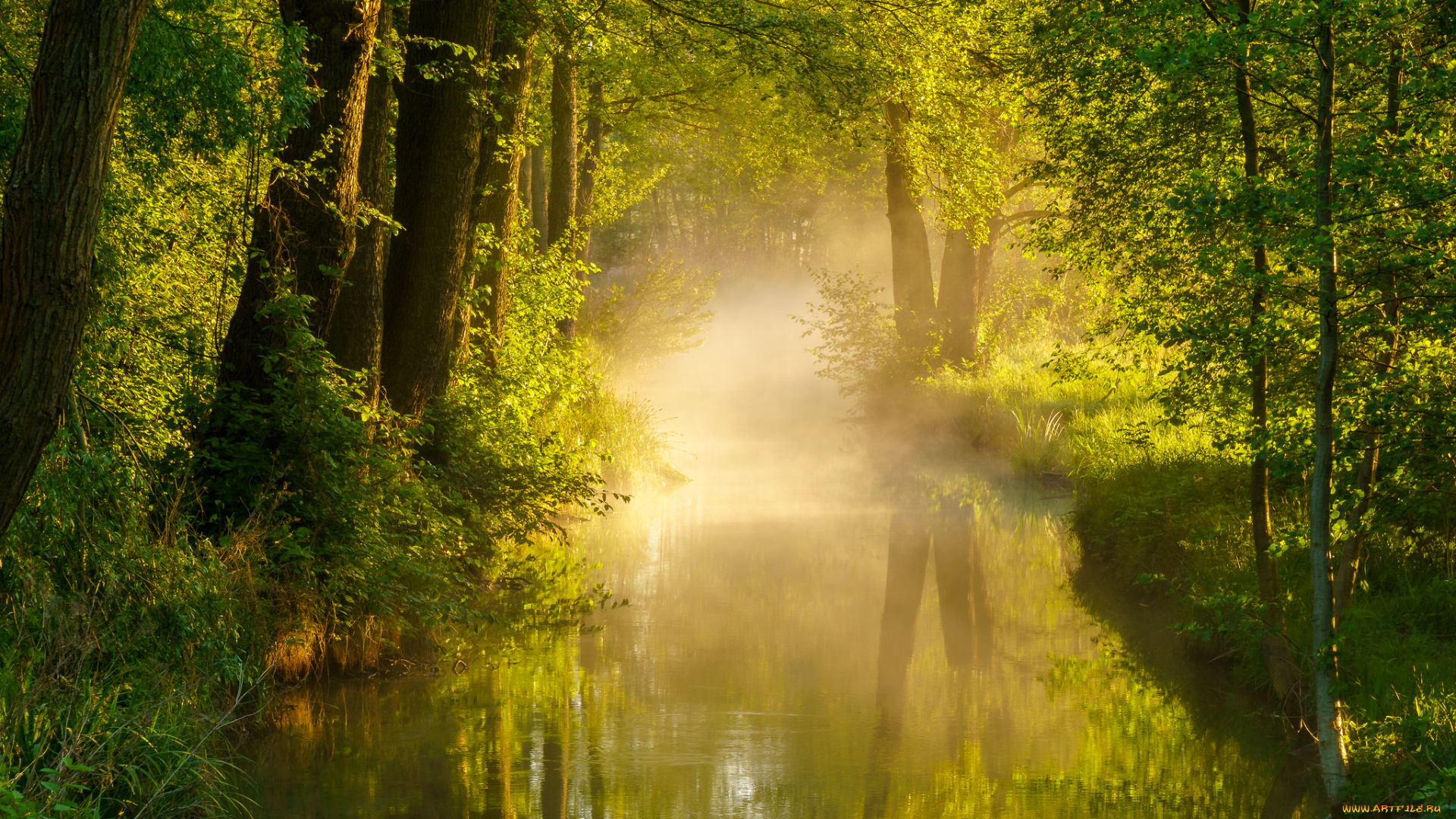 природа, реки, озера, простор