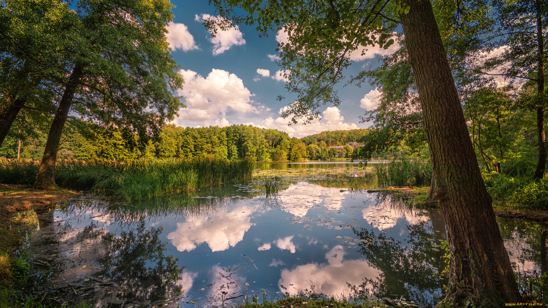 природа, реки, озера, простор