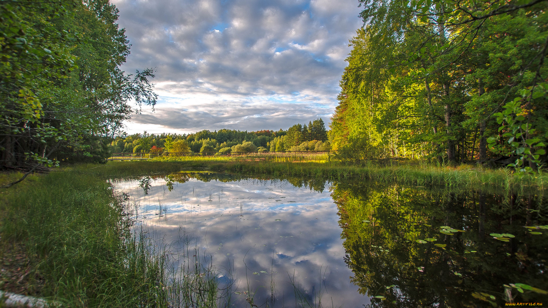 природа, реки, озера, простор