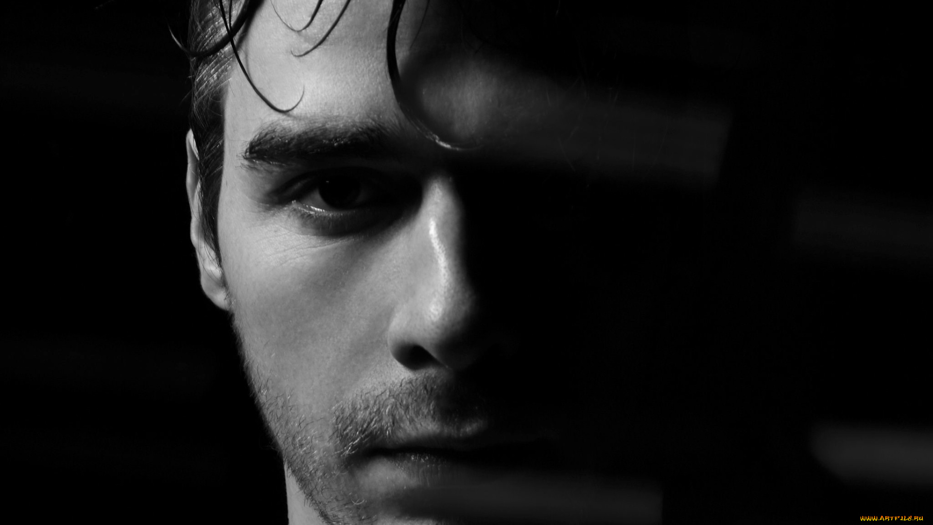 stimming, музыка, -временный, музыкант