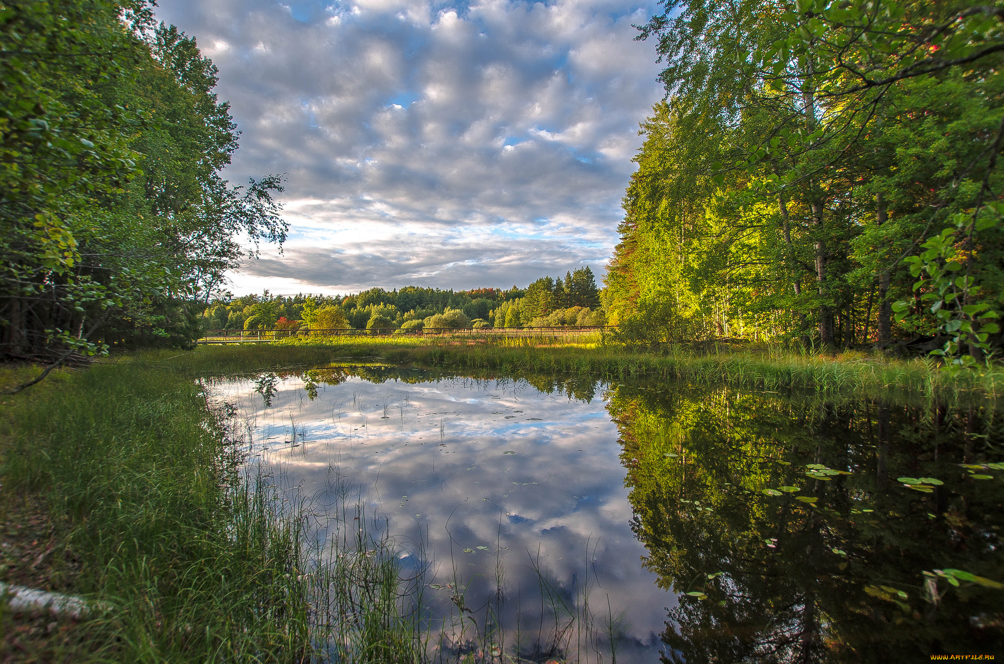 природа, реки, озера, простор