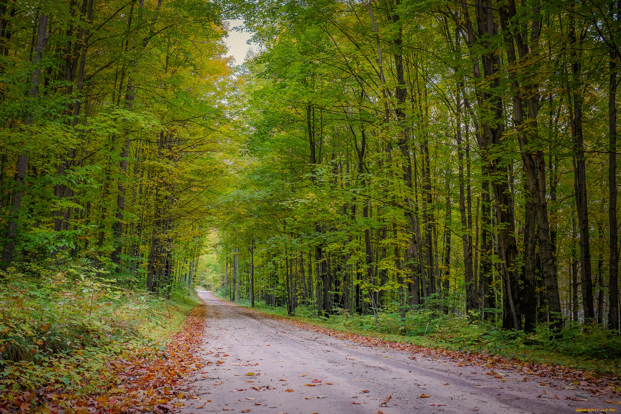 природа, дороги, простор