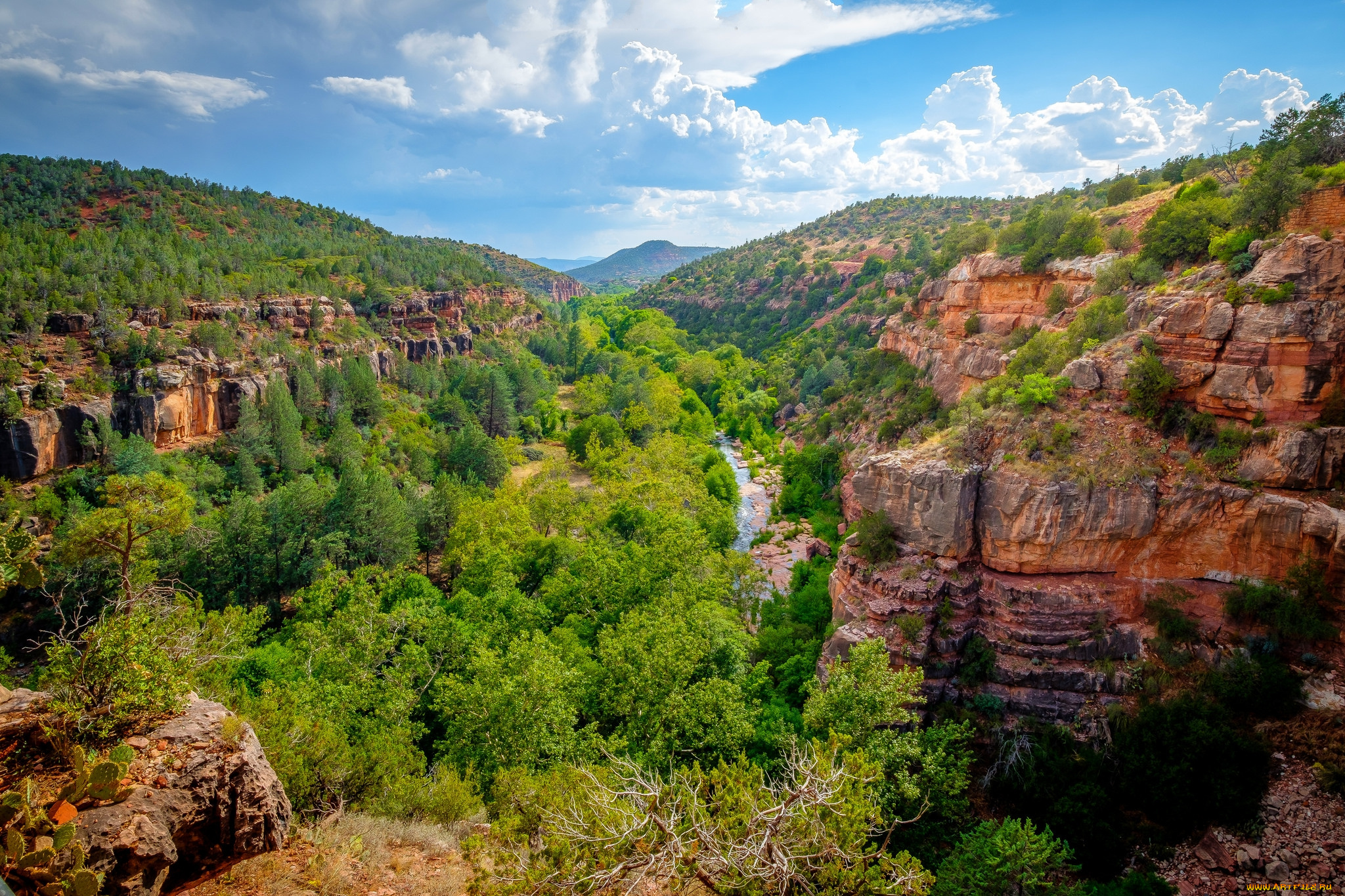 природа, горы, простор