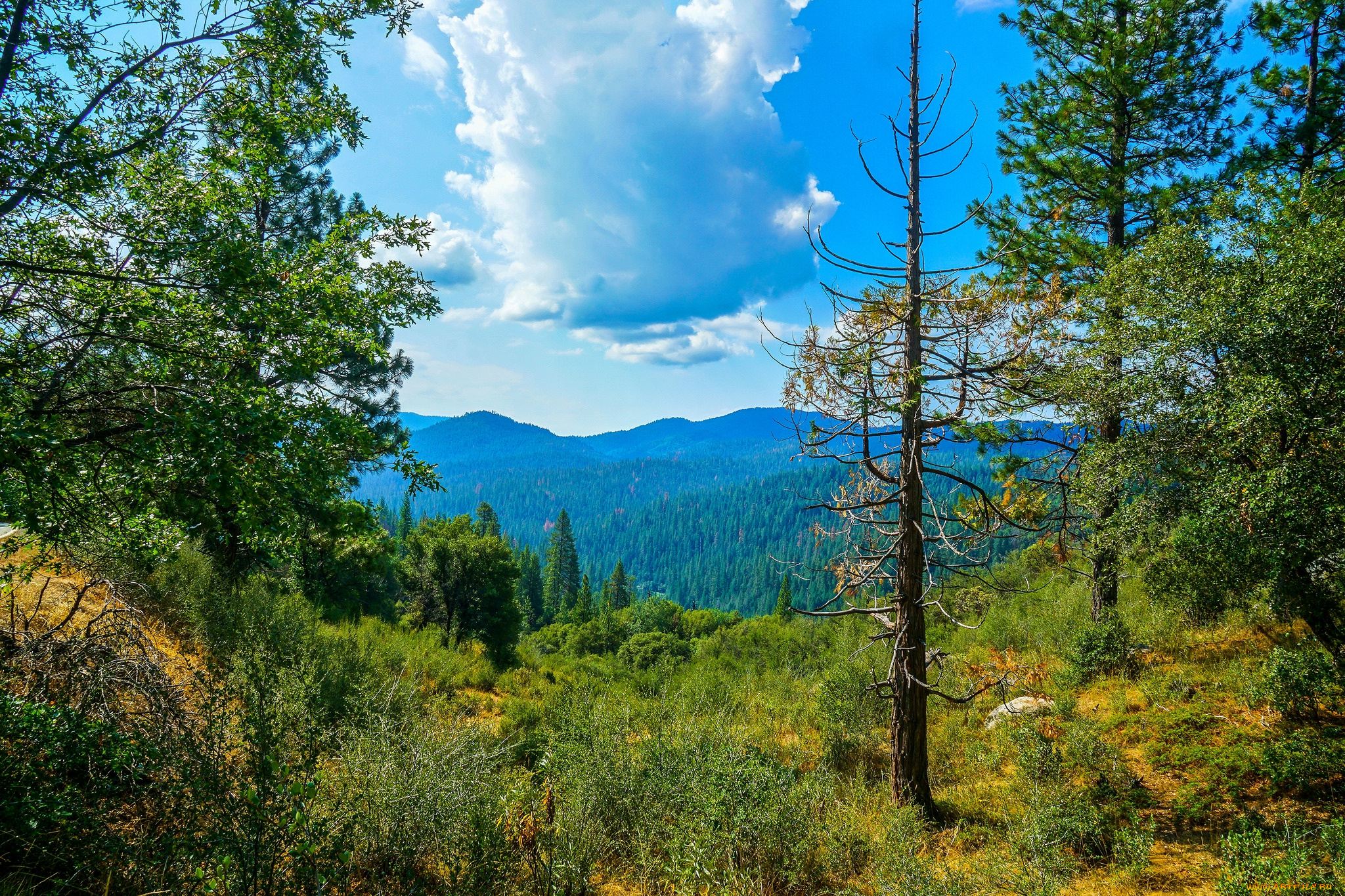 природа, пейзажи, простор