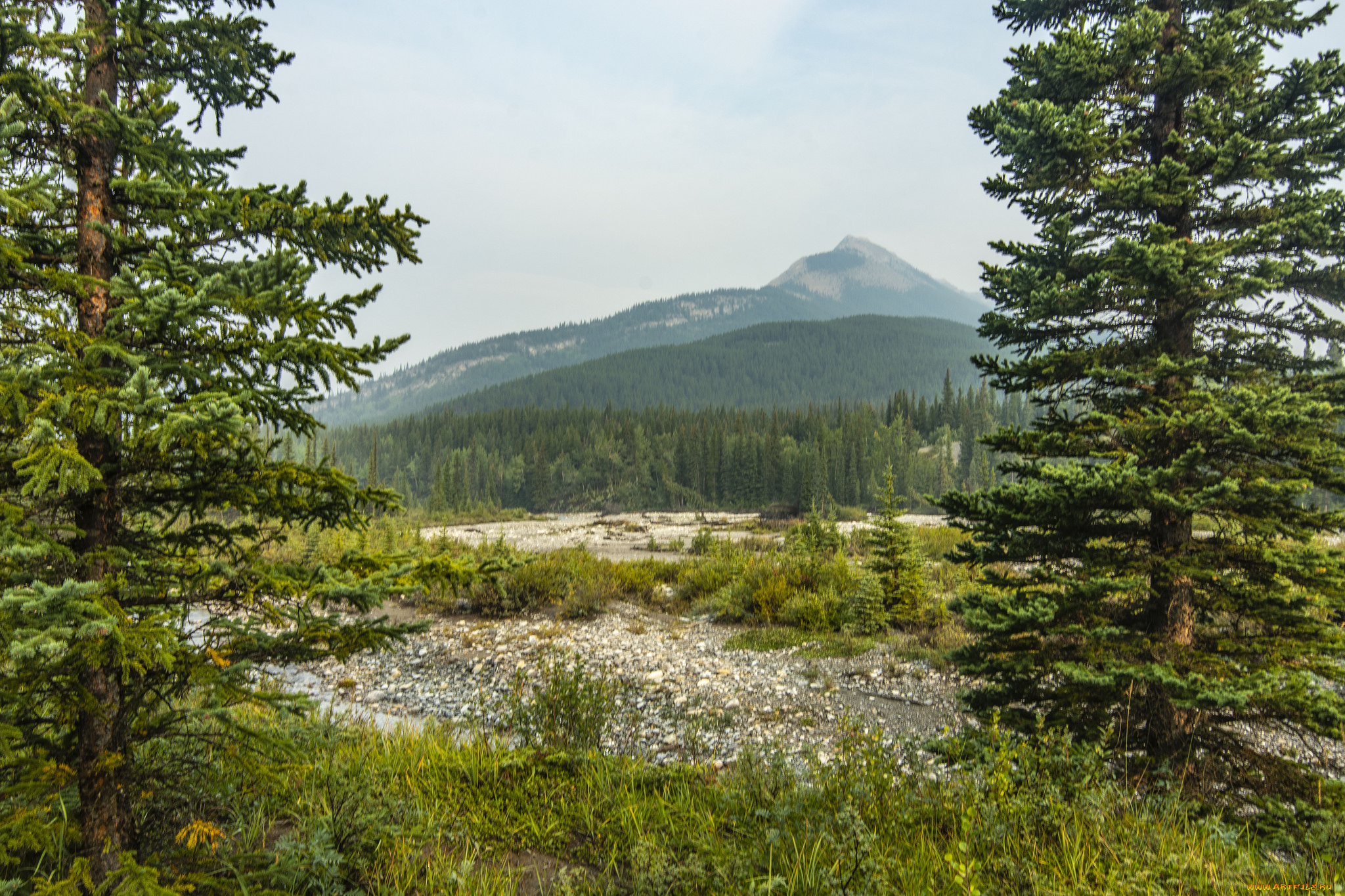 природа, пейзажи, простор