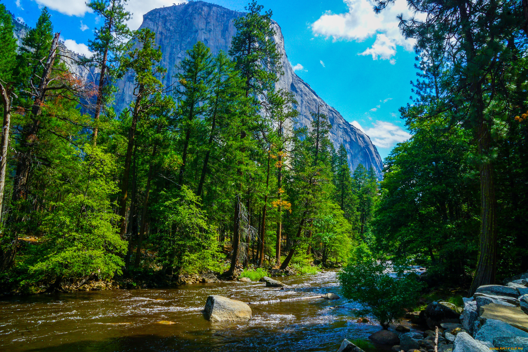 природа, реки, озера, простор