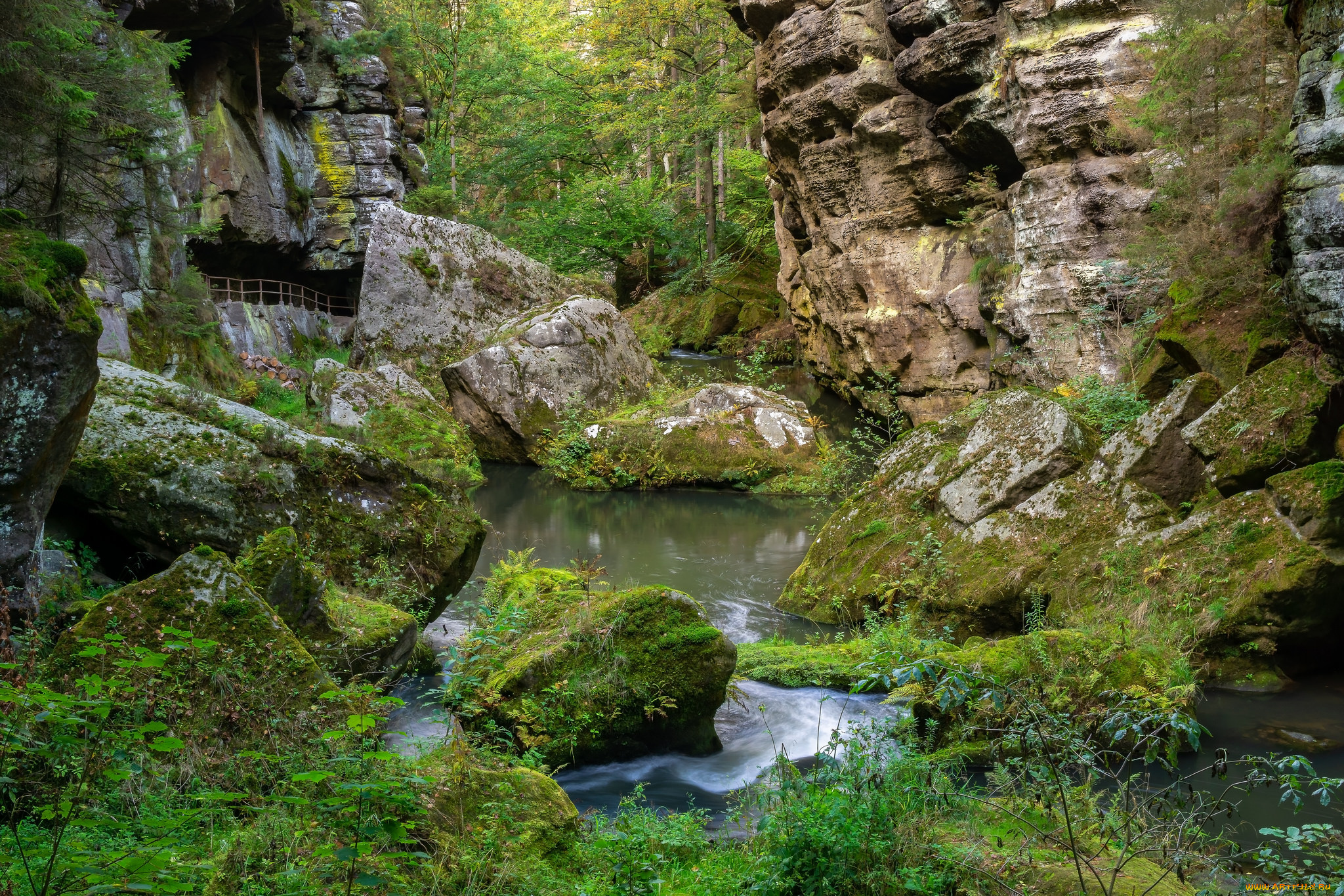 природа, реки, озера, простор