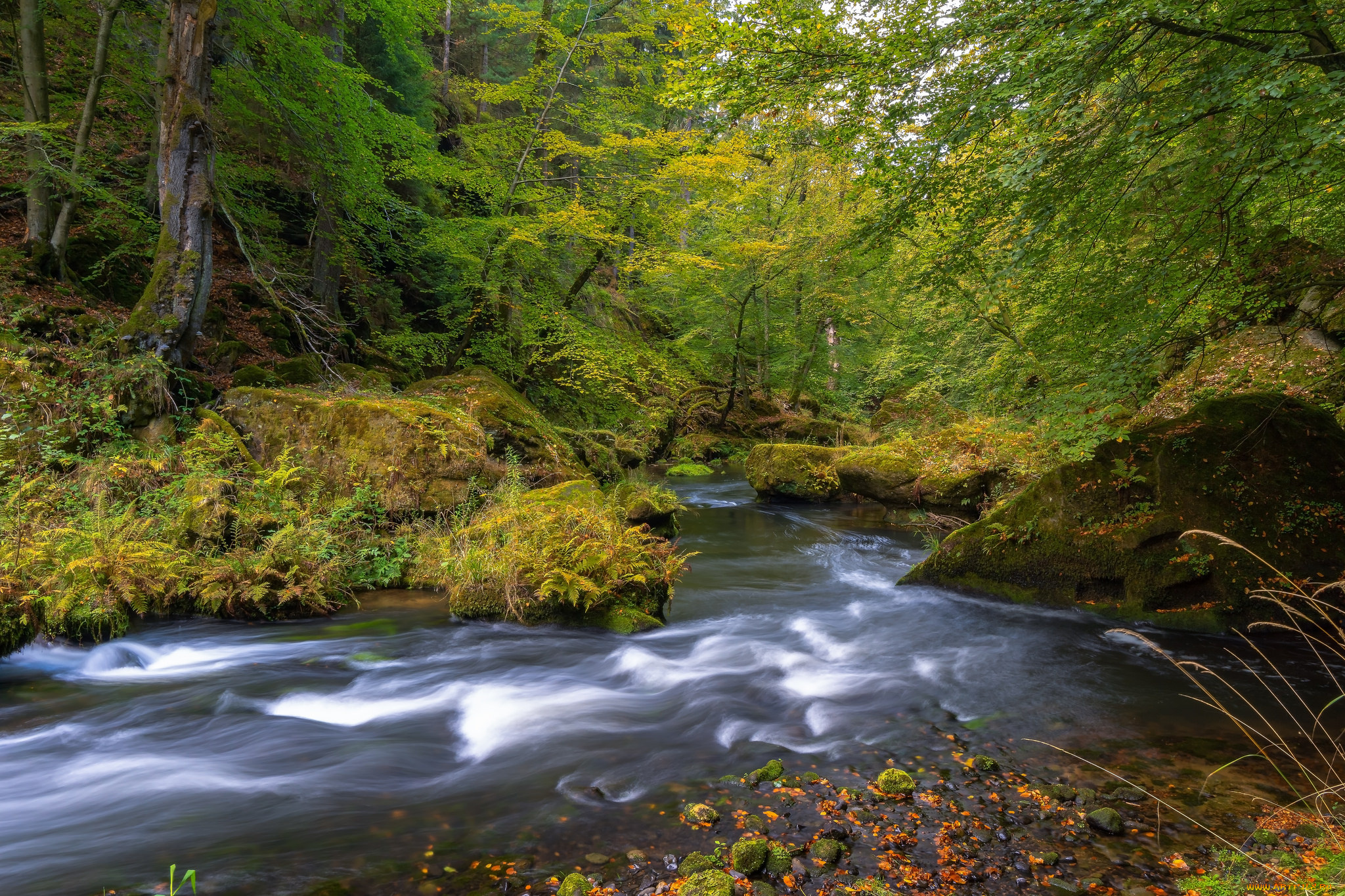 природа, реки, озера, простор