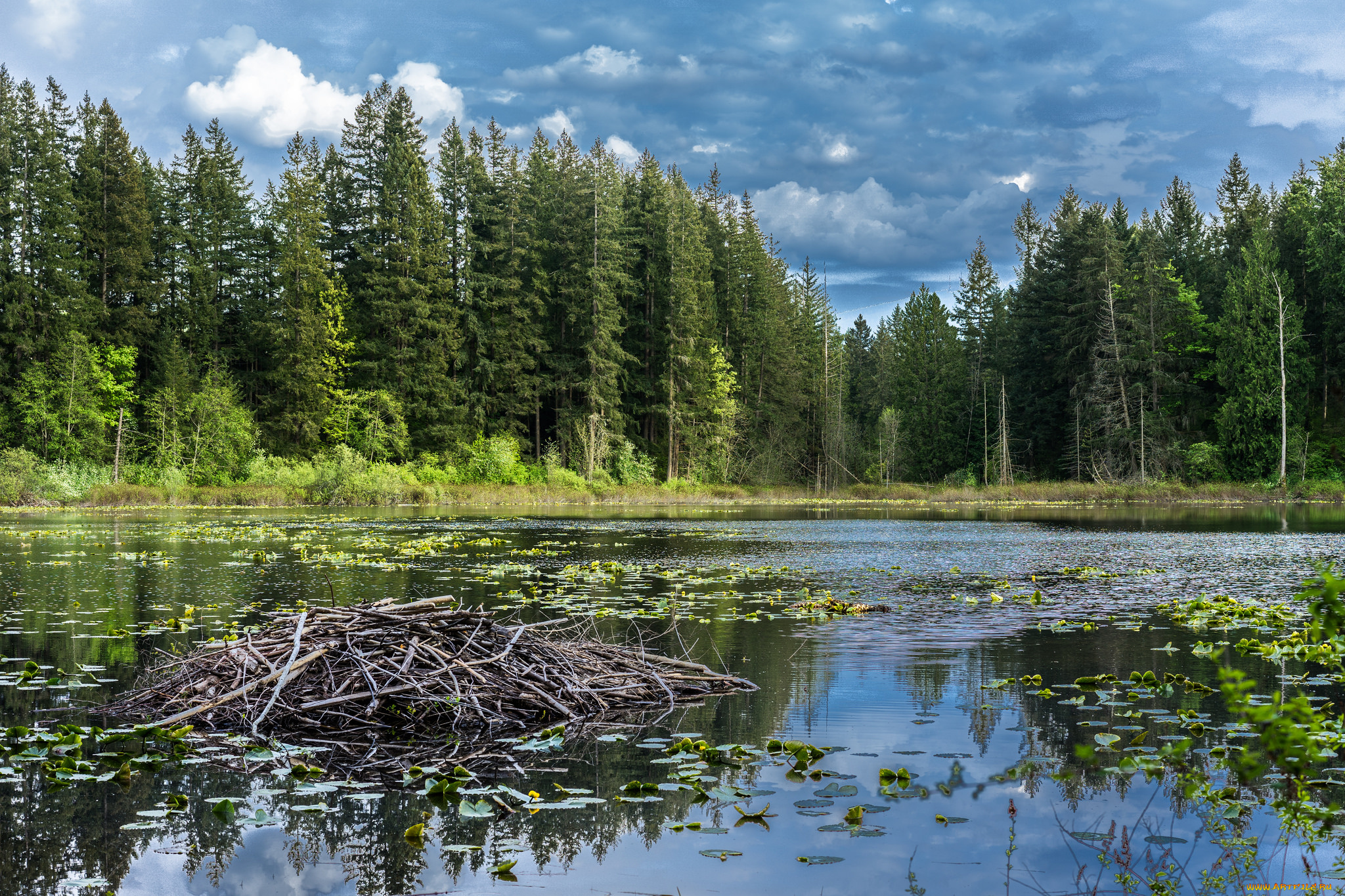 природа, реки, озера, простор