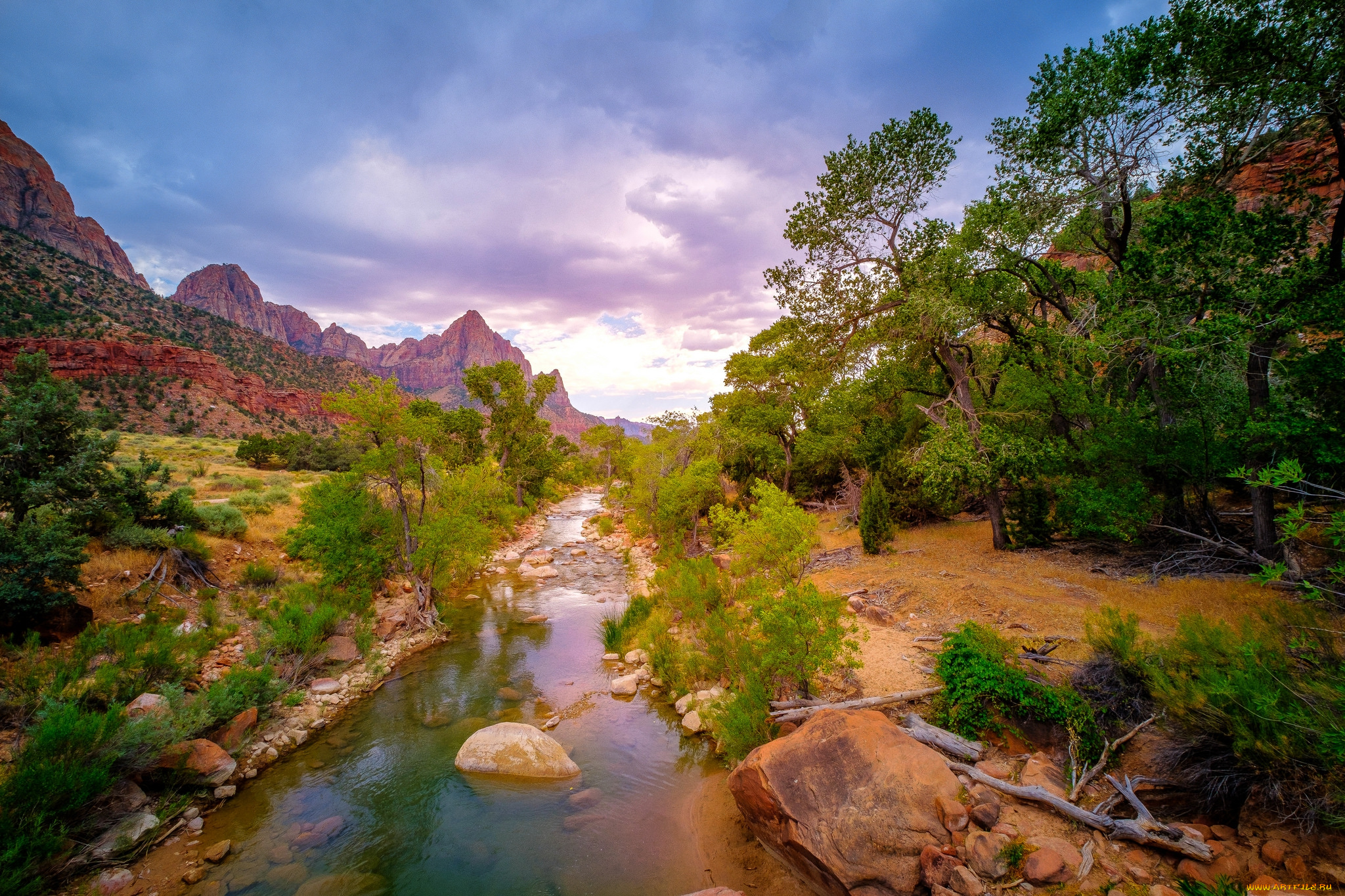 природа, реки, озера, простор