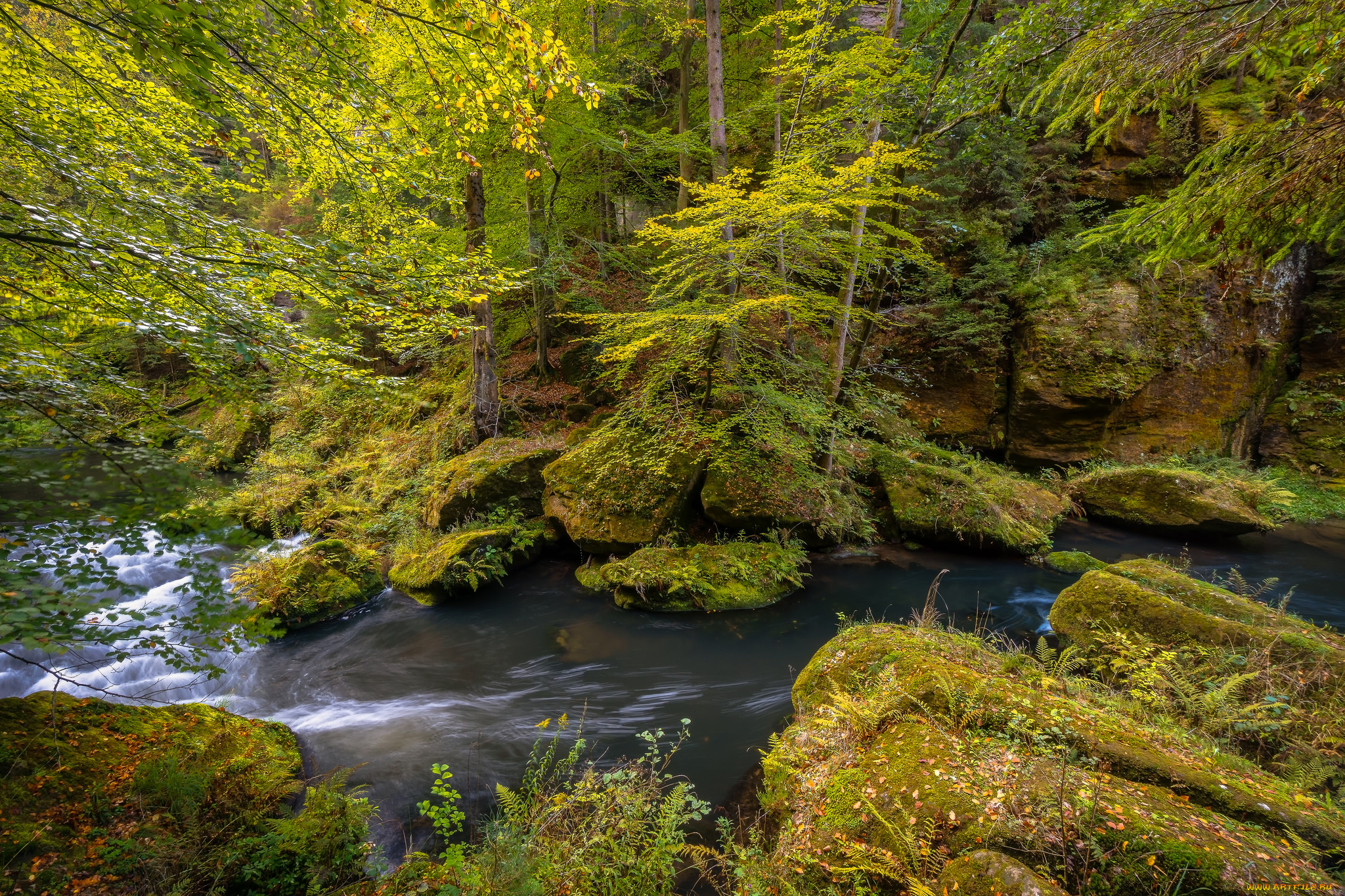 природа, реки, озера, простор