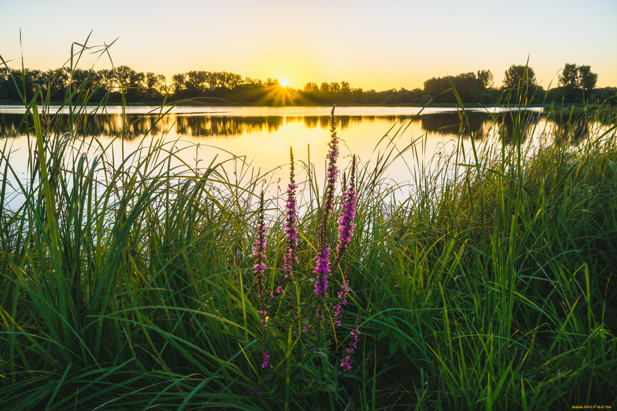 природа, реки, озера, простор