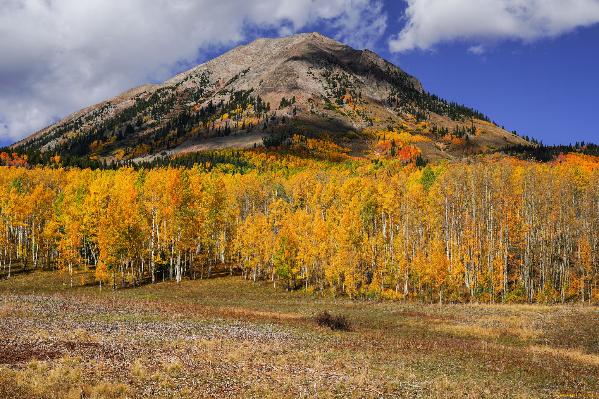 природа, реки, озера, простор