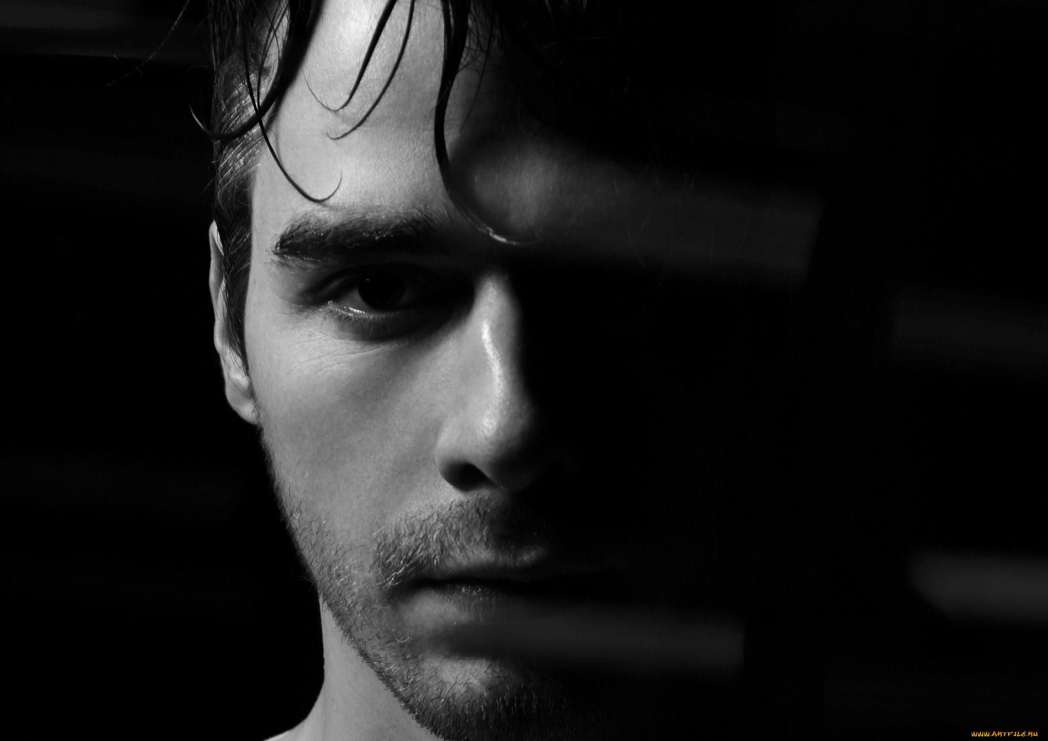 stimming, музыка, -временный, музыкант