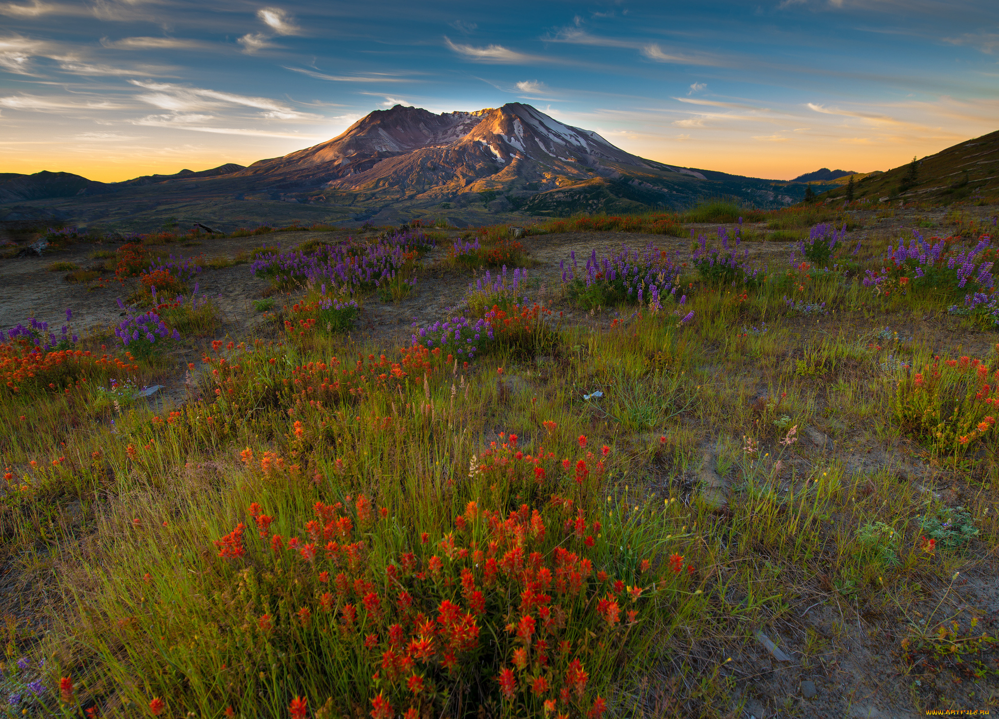 природа, луга, простор