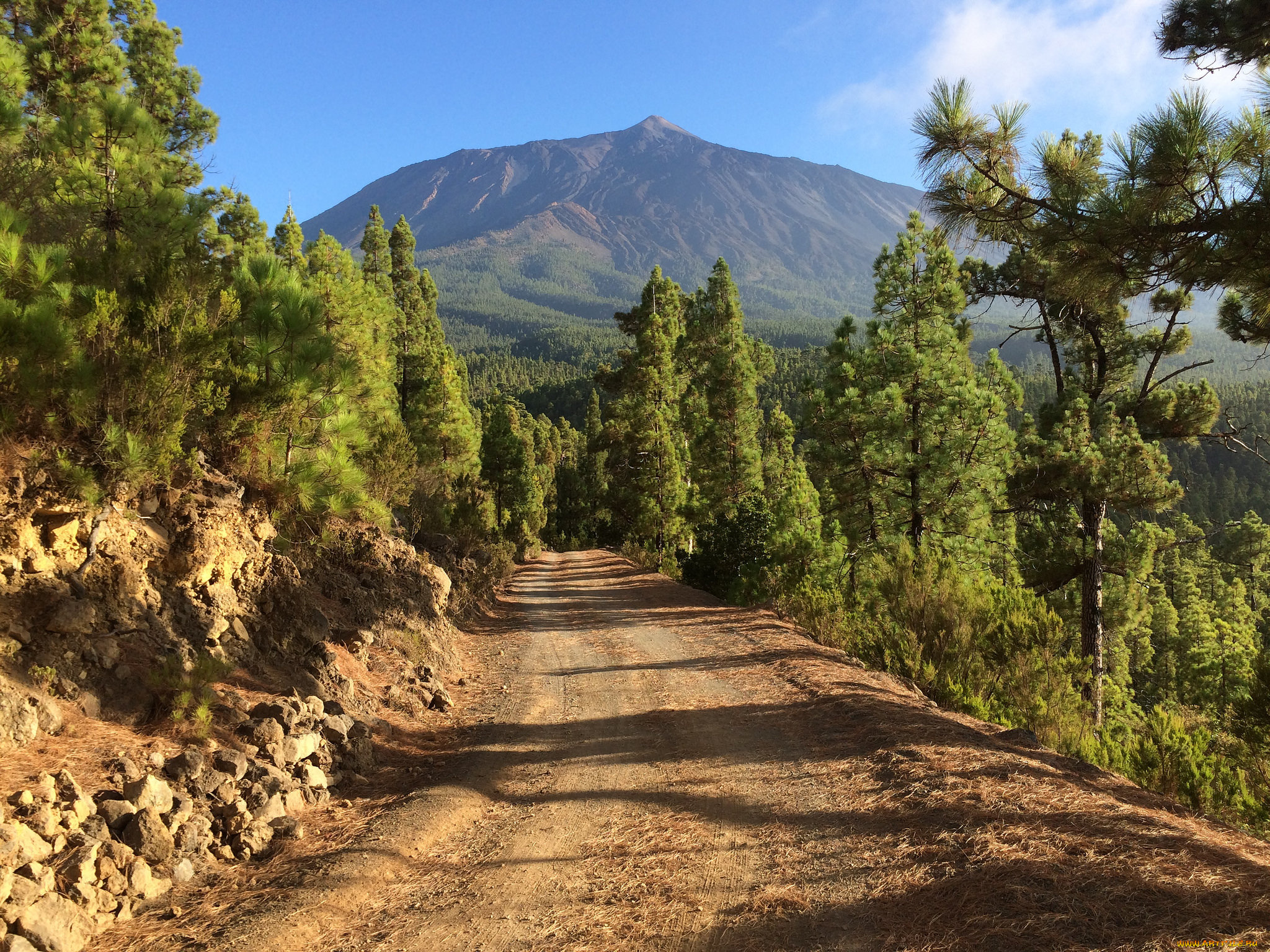 природа, дороги, простор