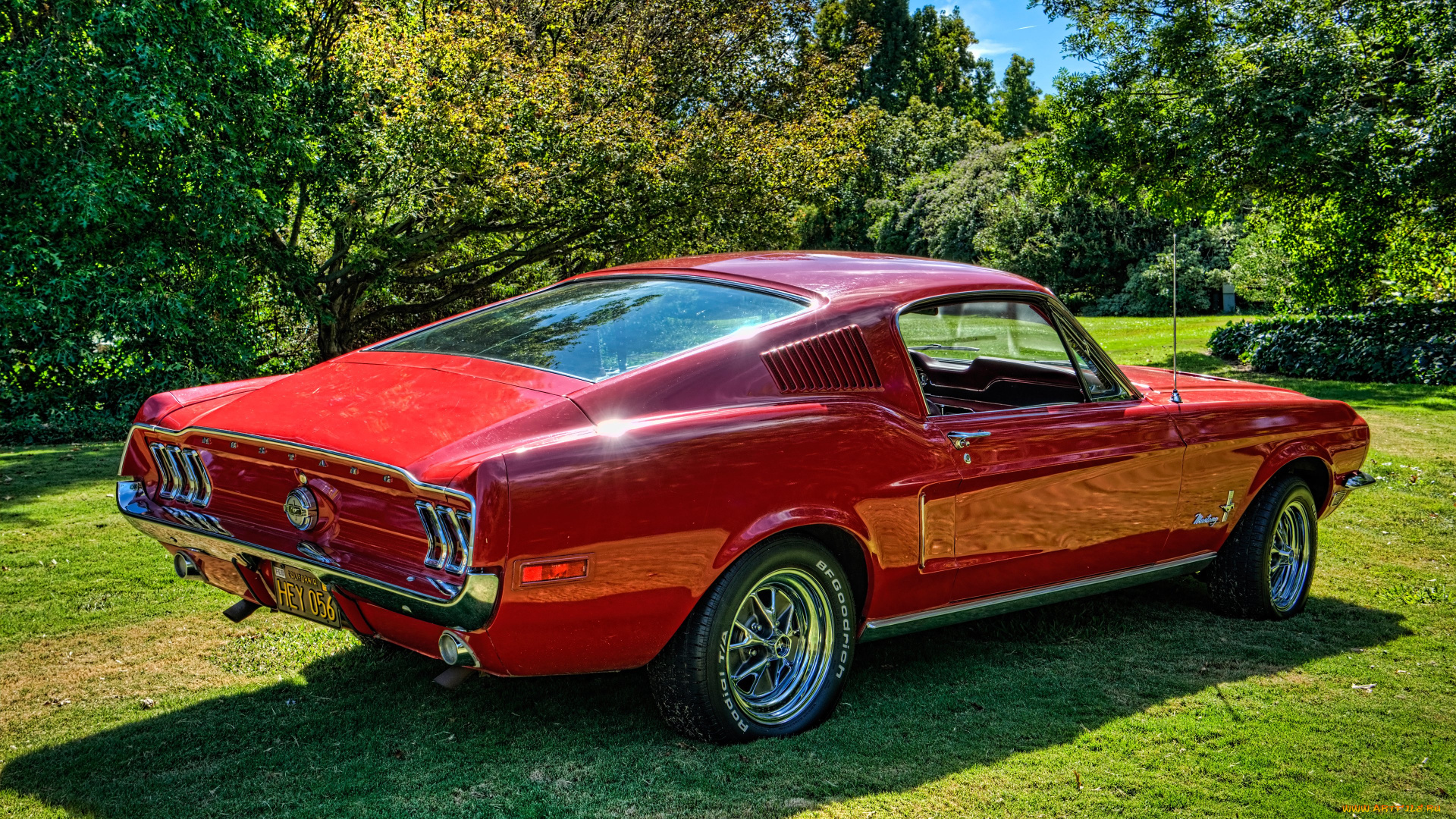 автомобили, mustang, ford