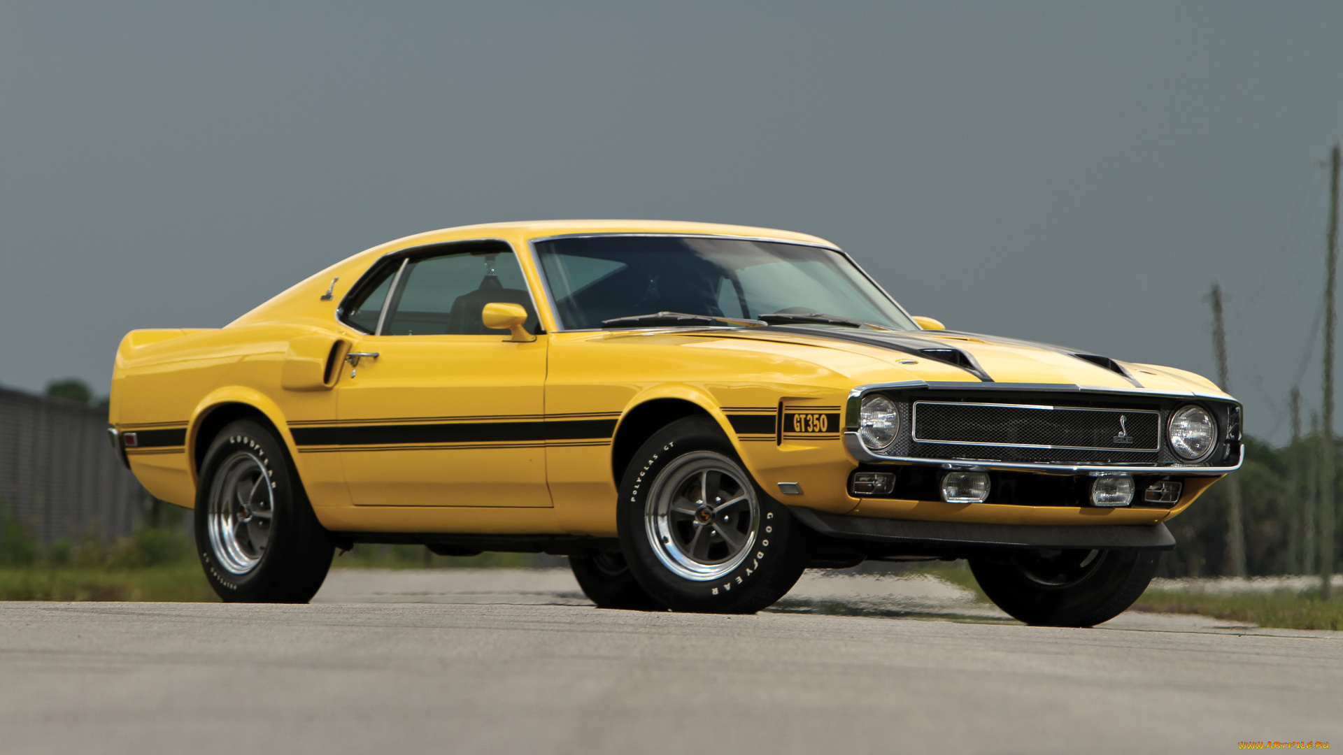 автомобили, mustang, shelby