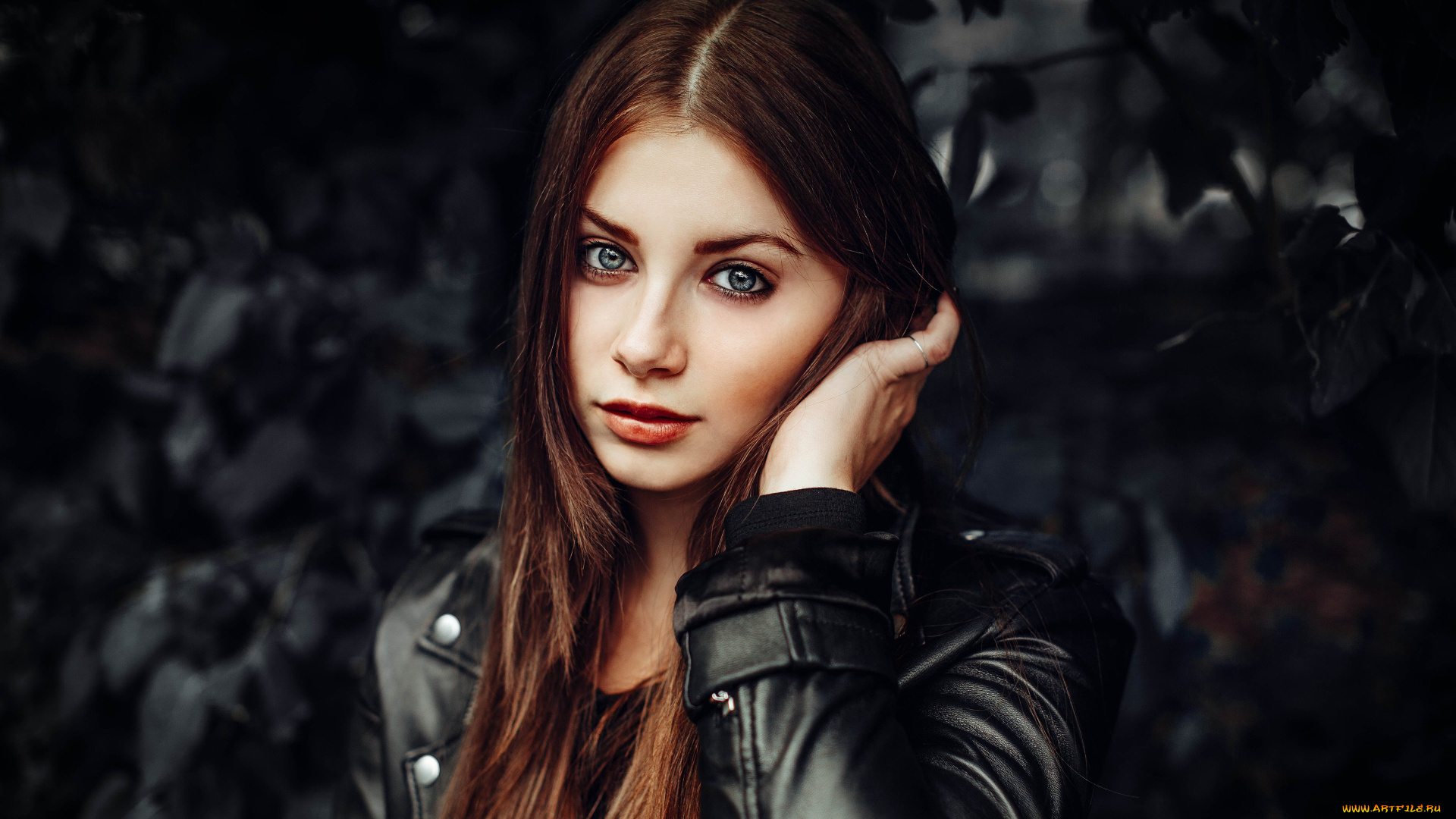 девушки, -, лица, , портреты, isa, bell