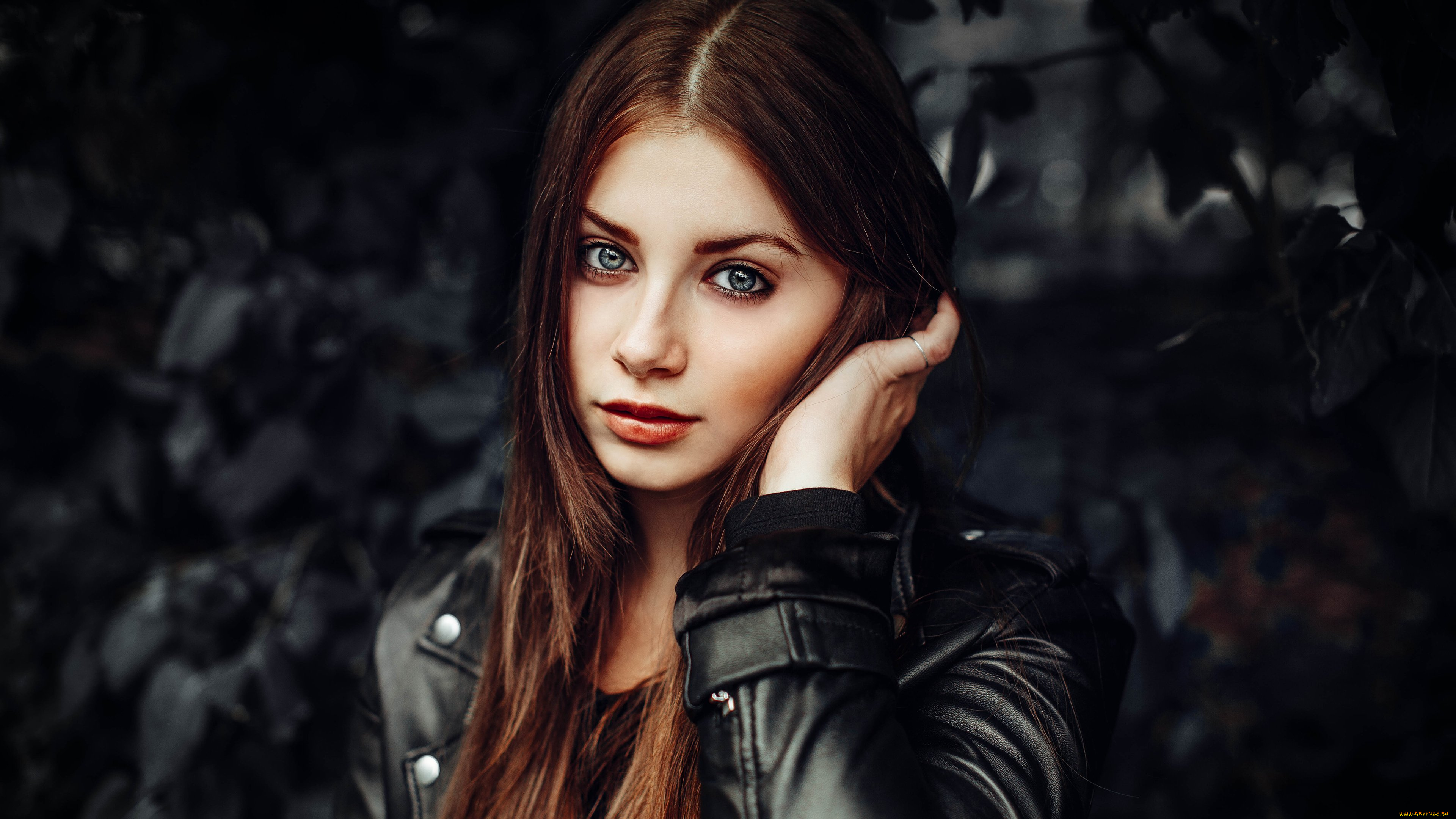 девушки, -, лица, , портреты, isa, bell