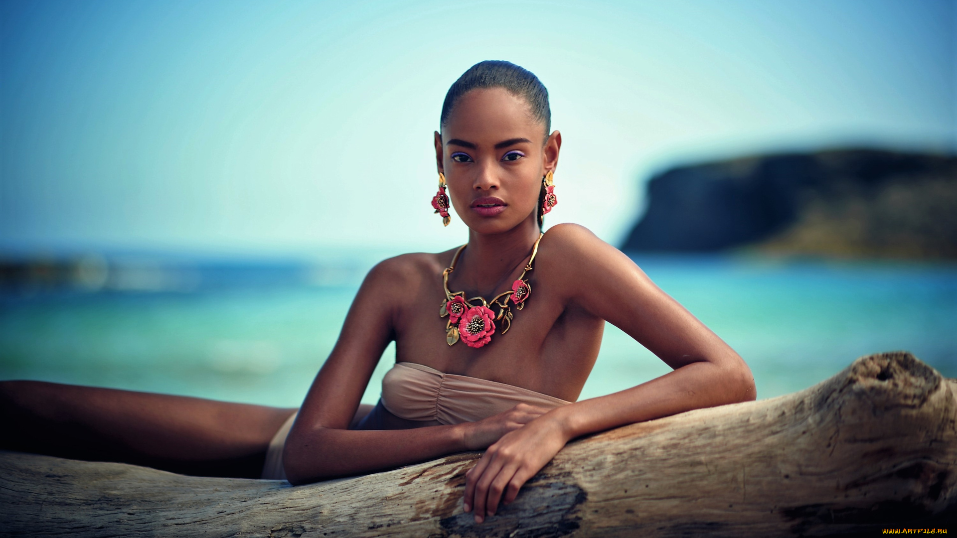 девушки, -, темнокожие, украшения, купальник, бревно