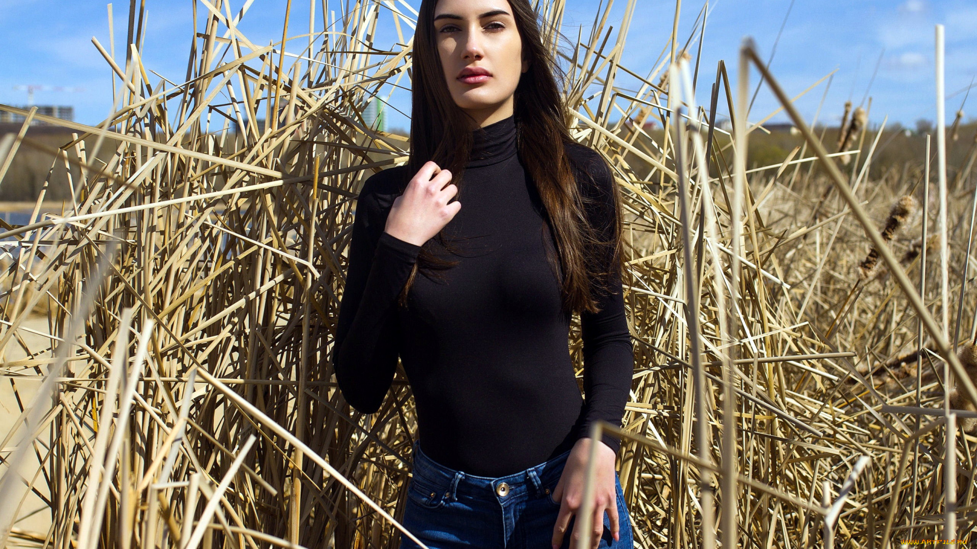 девушки, -, брюнетки, , шатенки, брюнетка, длинные, волосы, солома, джинсы, черный, свитер, стася, давлетшина