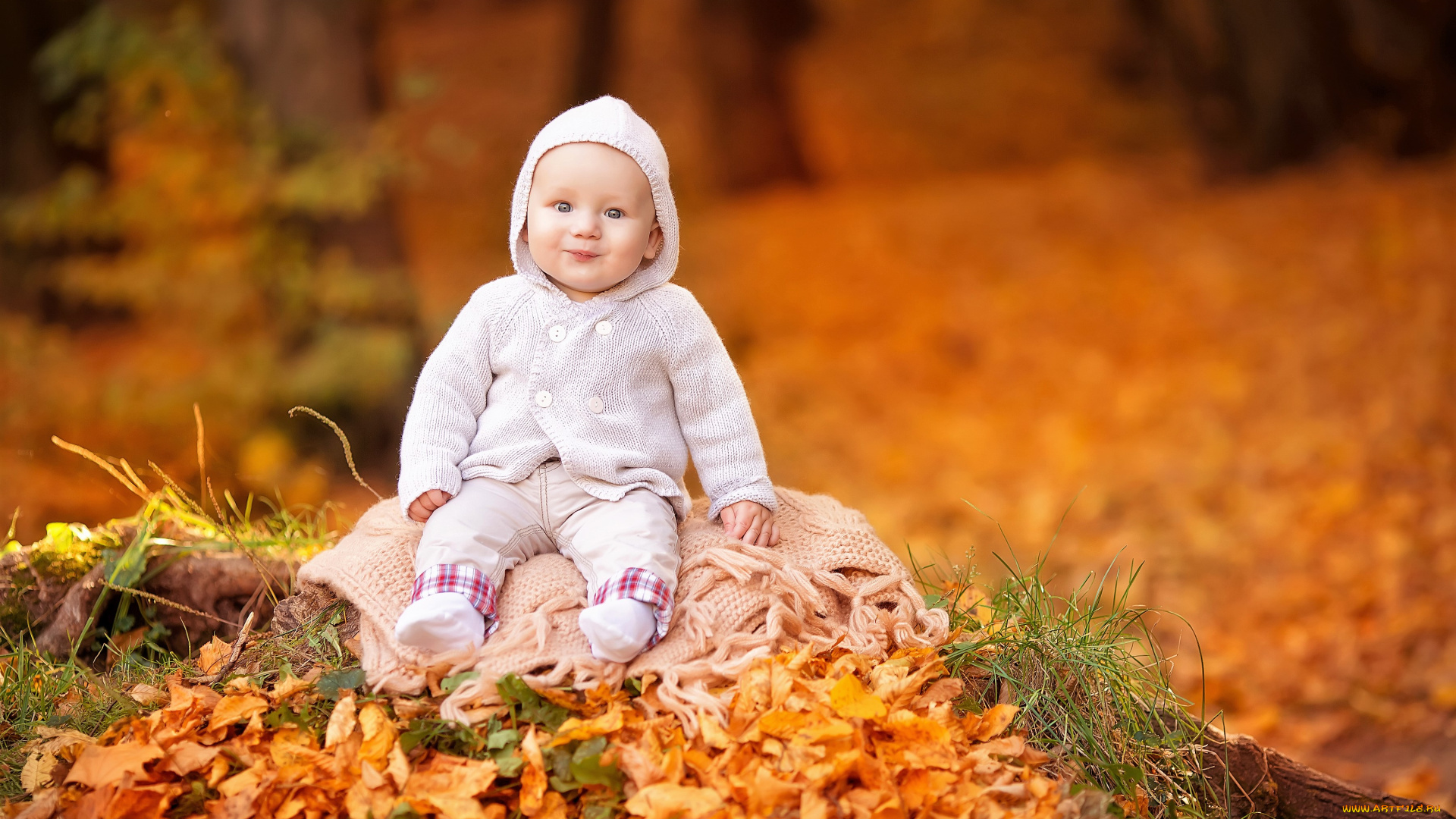 разное, дети, ребенок, кофта, листья, осень