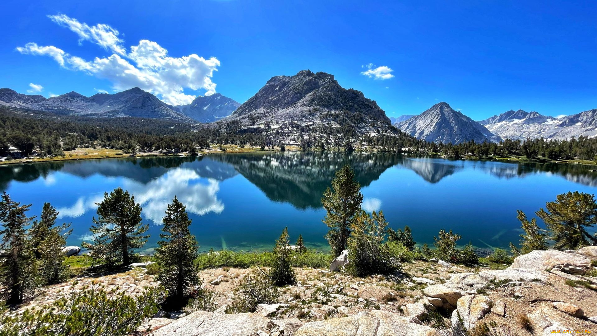 bullfrog, lake, willow, springs, illinois, природа, реки, озера, bullfrog, lake, willow, springs