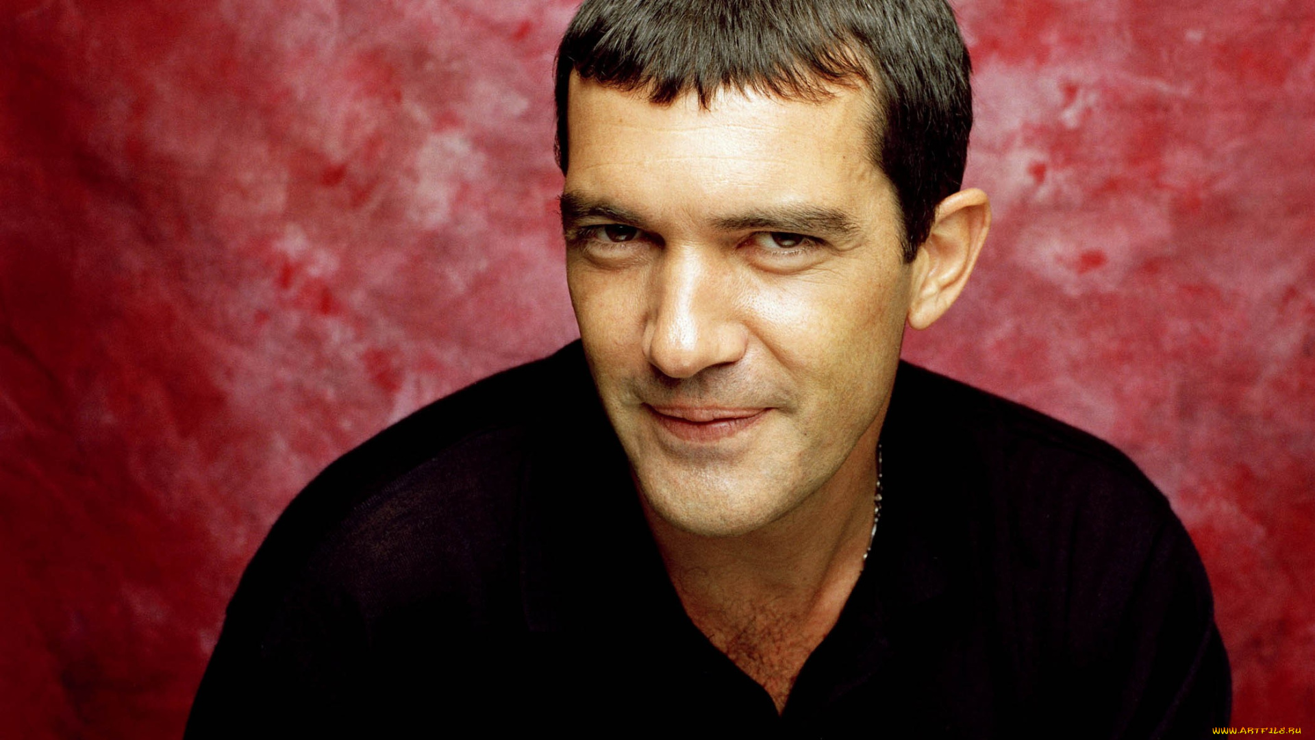 мужчины, antonio, banderas, актер, лицо
