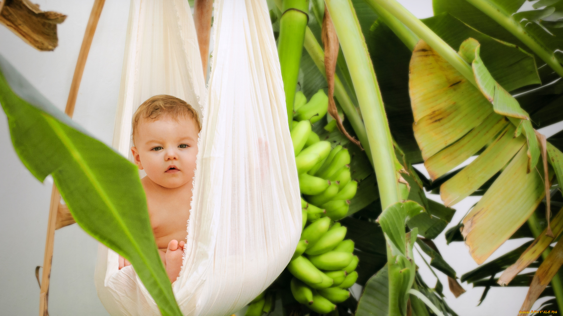 разное, дети, ребенок, гамак, листья, бананы