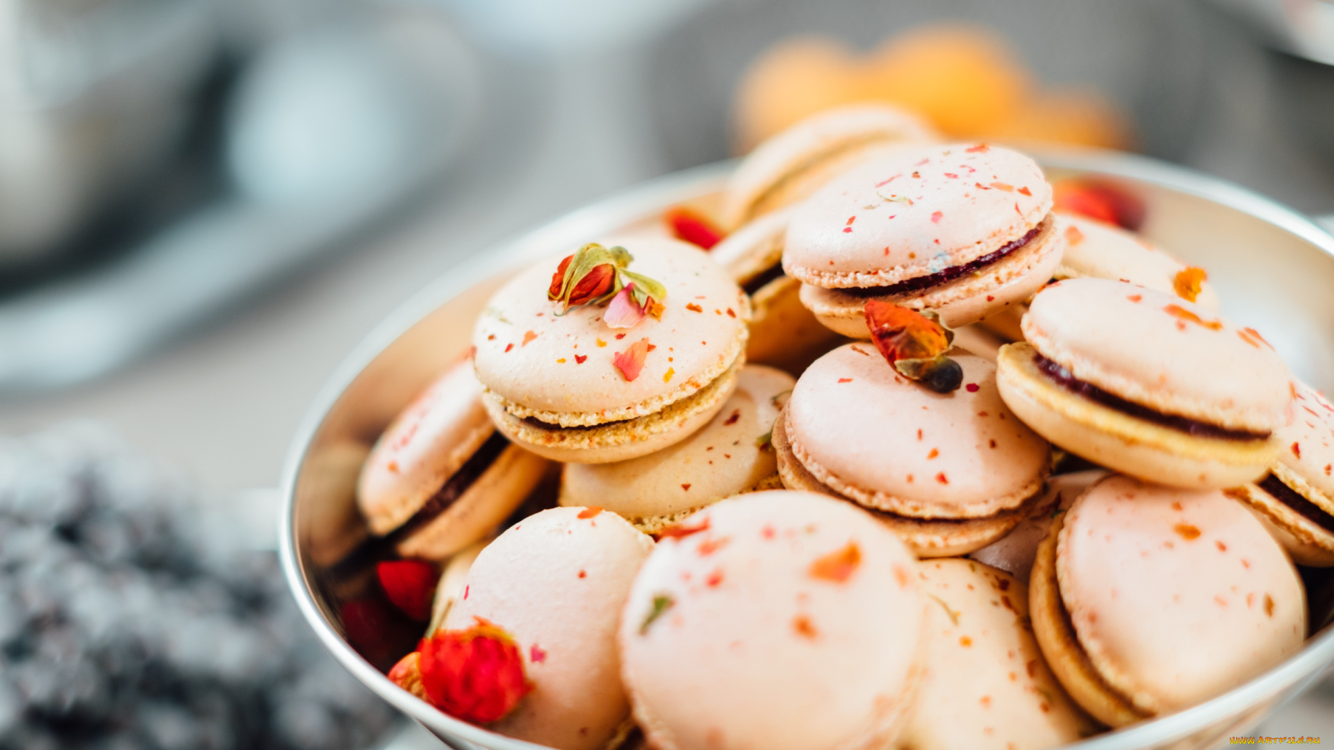 еда, макаруны, лакомство, много