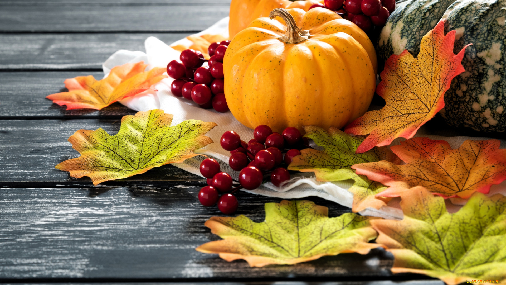 еда, тыква, листья, ягоды, тыквы