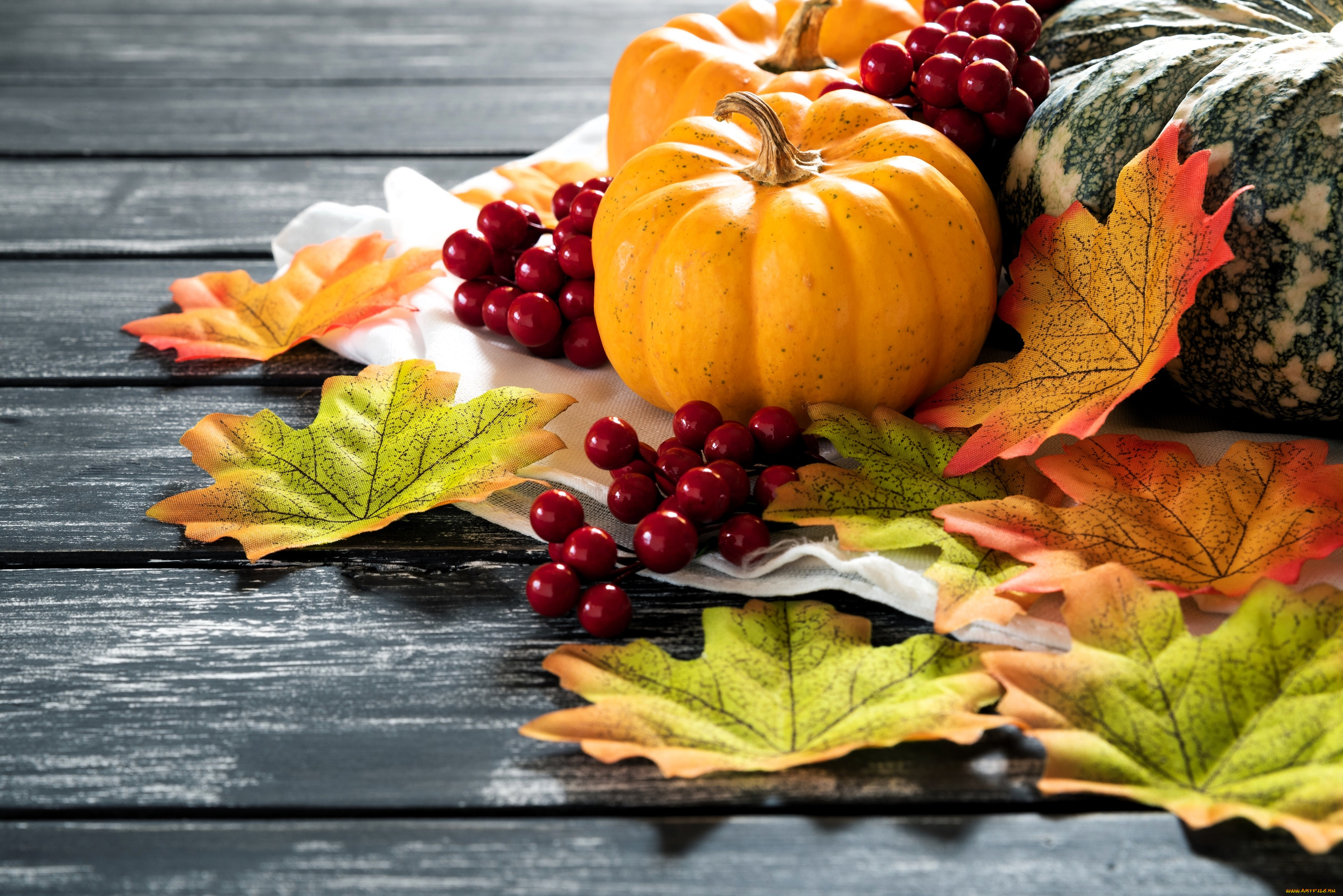 еда, тыква, листья, ягоды, тыквы