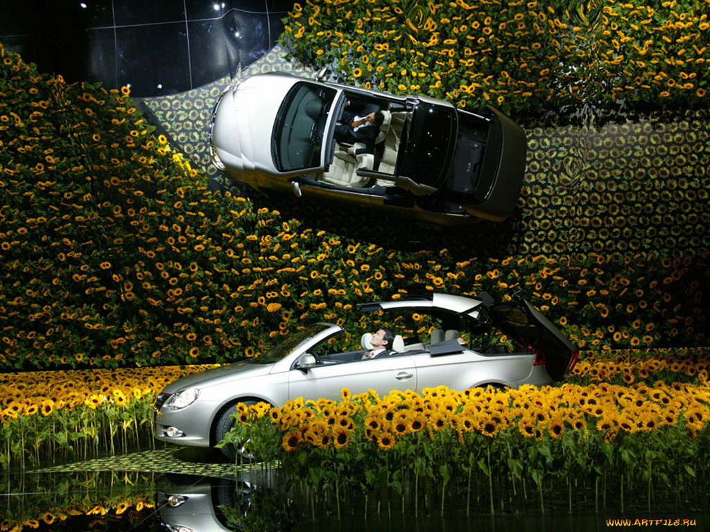 автомобили, volkswagen