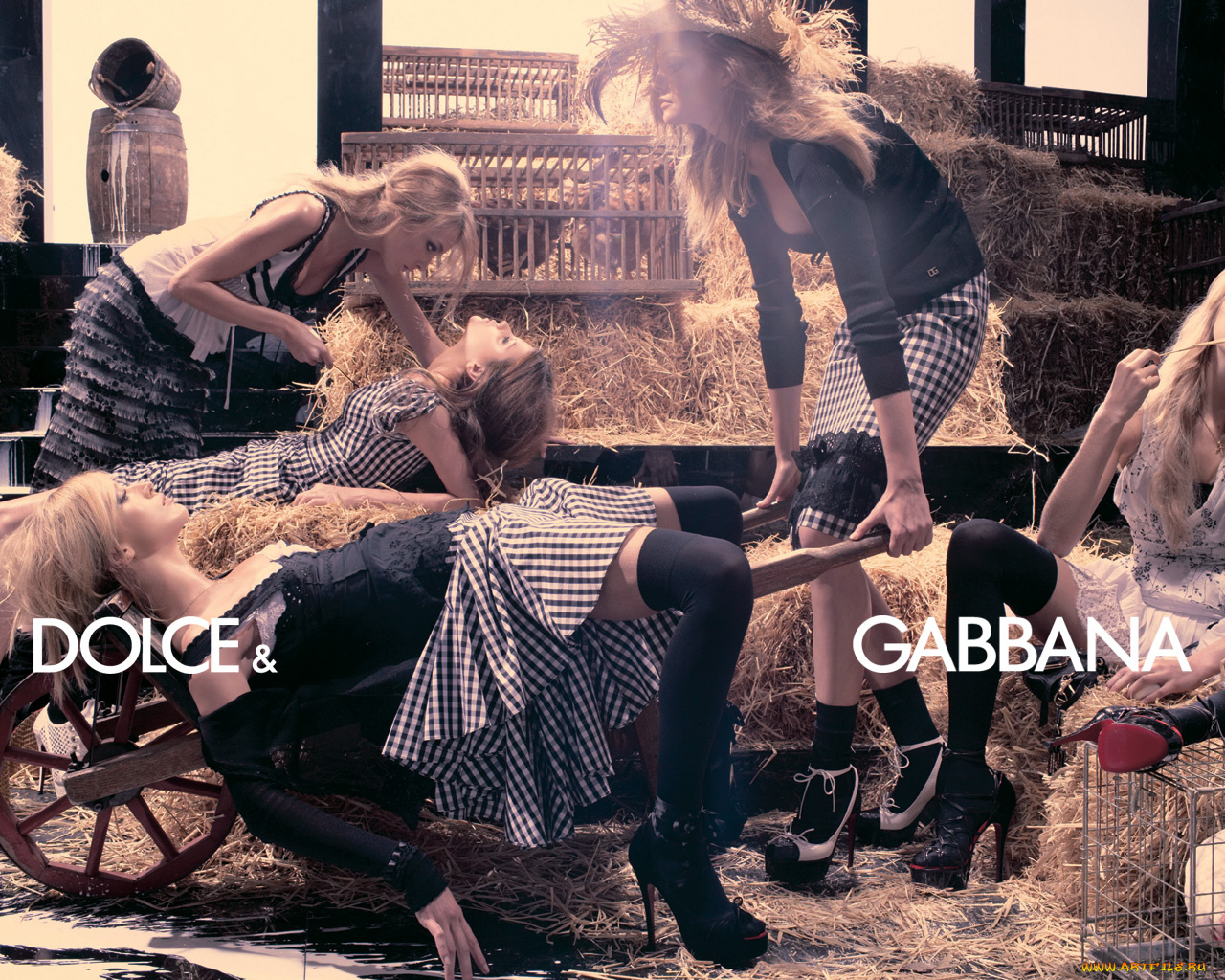 бренды, dolce, gabbana