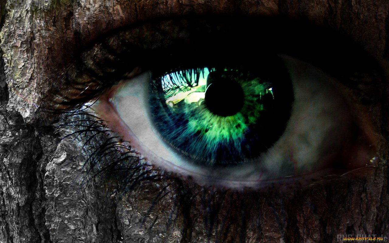 разное, глаза